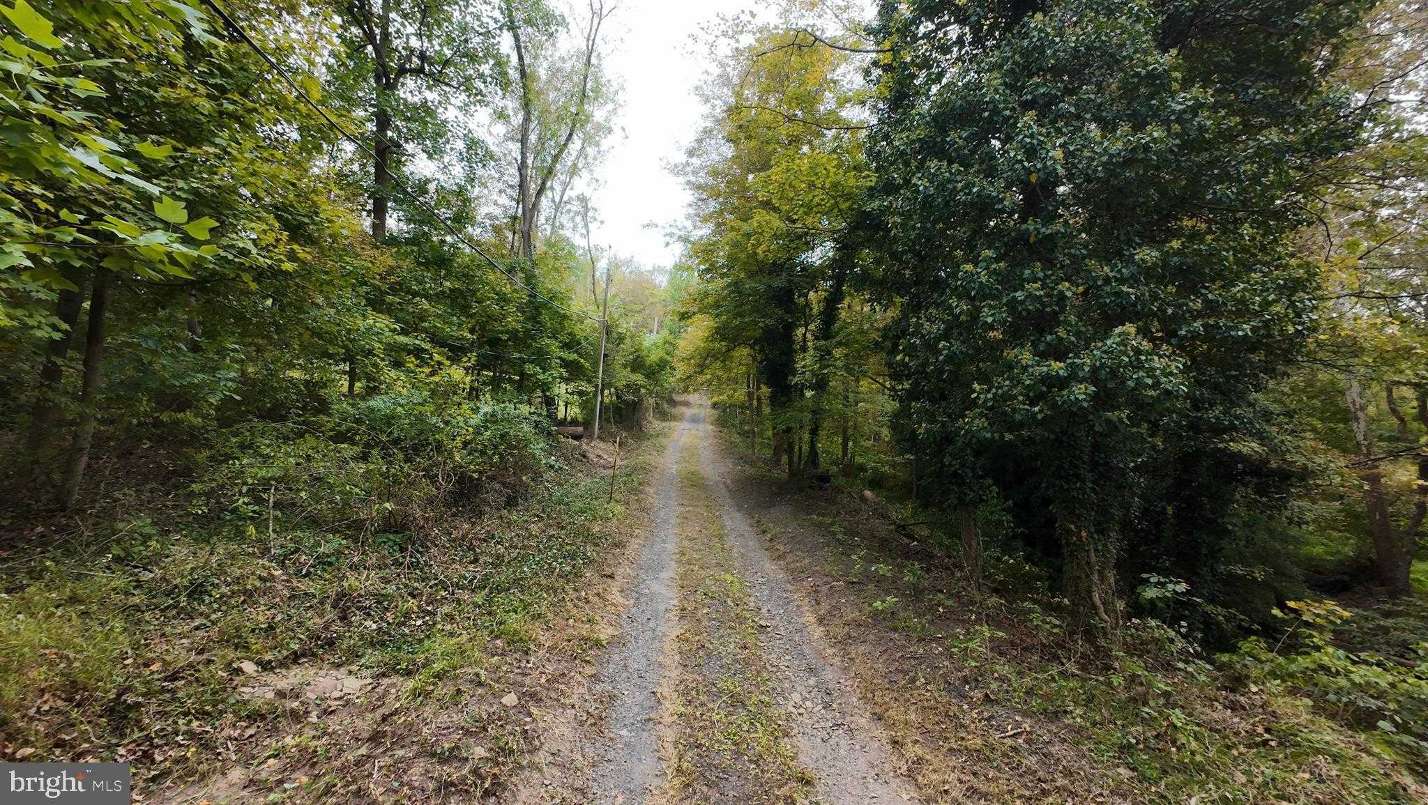 2034 Woodlyn Rd photo 14