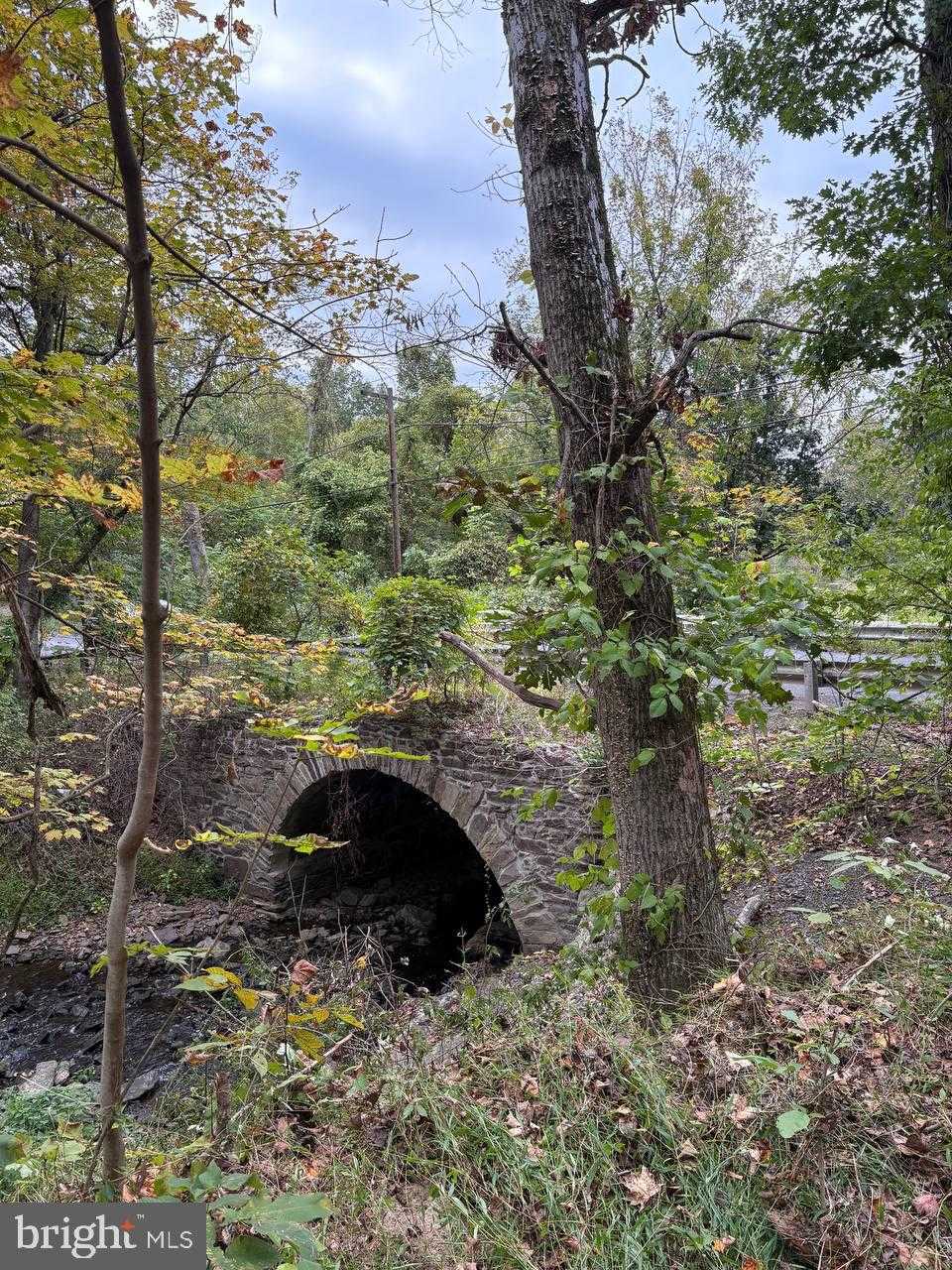 2034 Woodlyn Rd photo 20