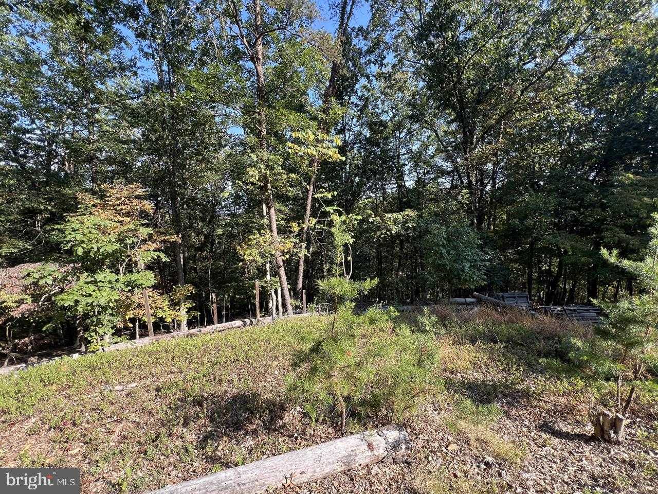 229 Carmel CT photo 5