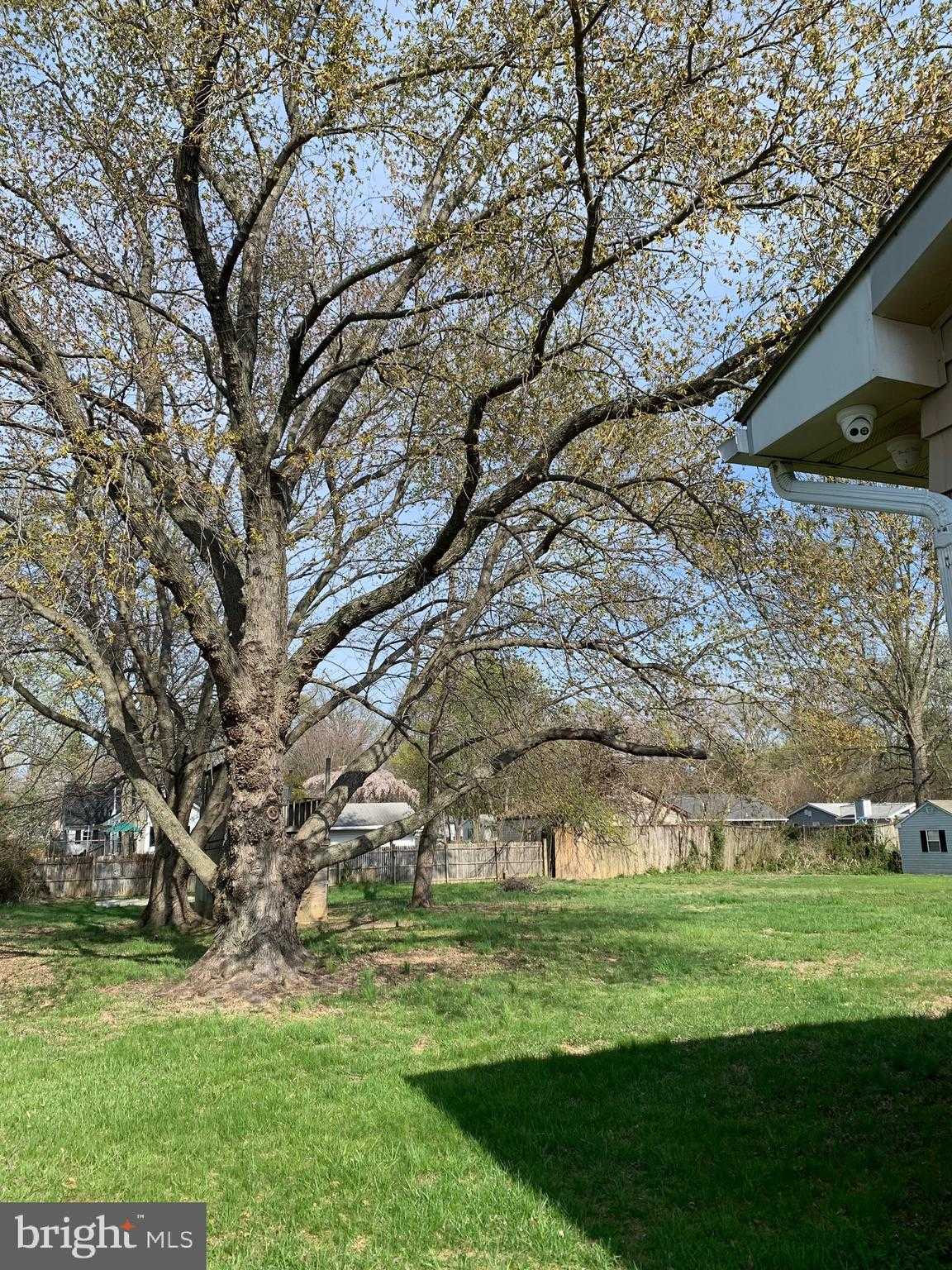 920 Cloverfields Dr photo 16