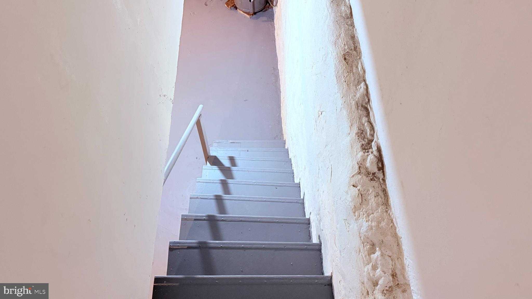 6424 Bingham St photo 26