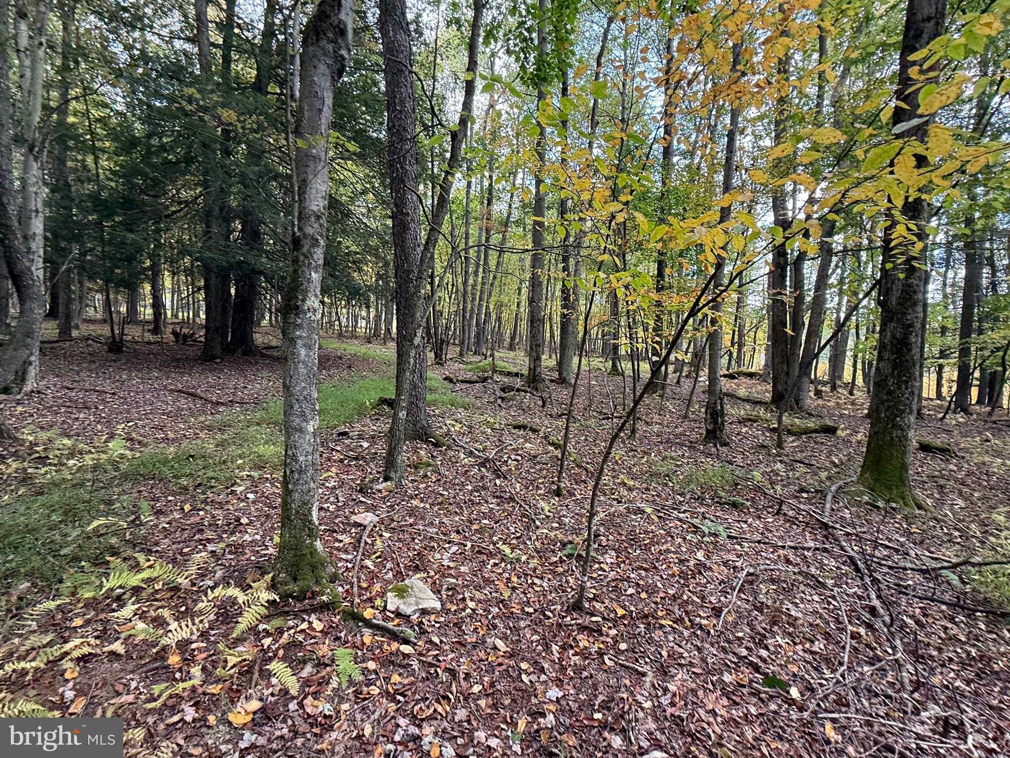 Lake Shore Dr photo 2