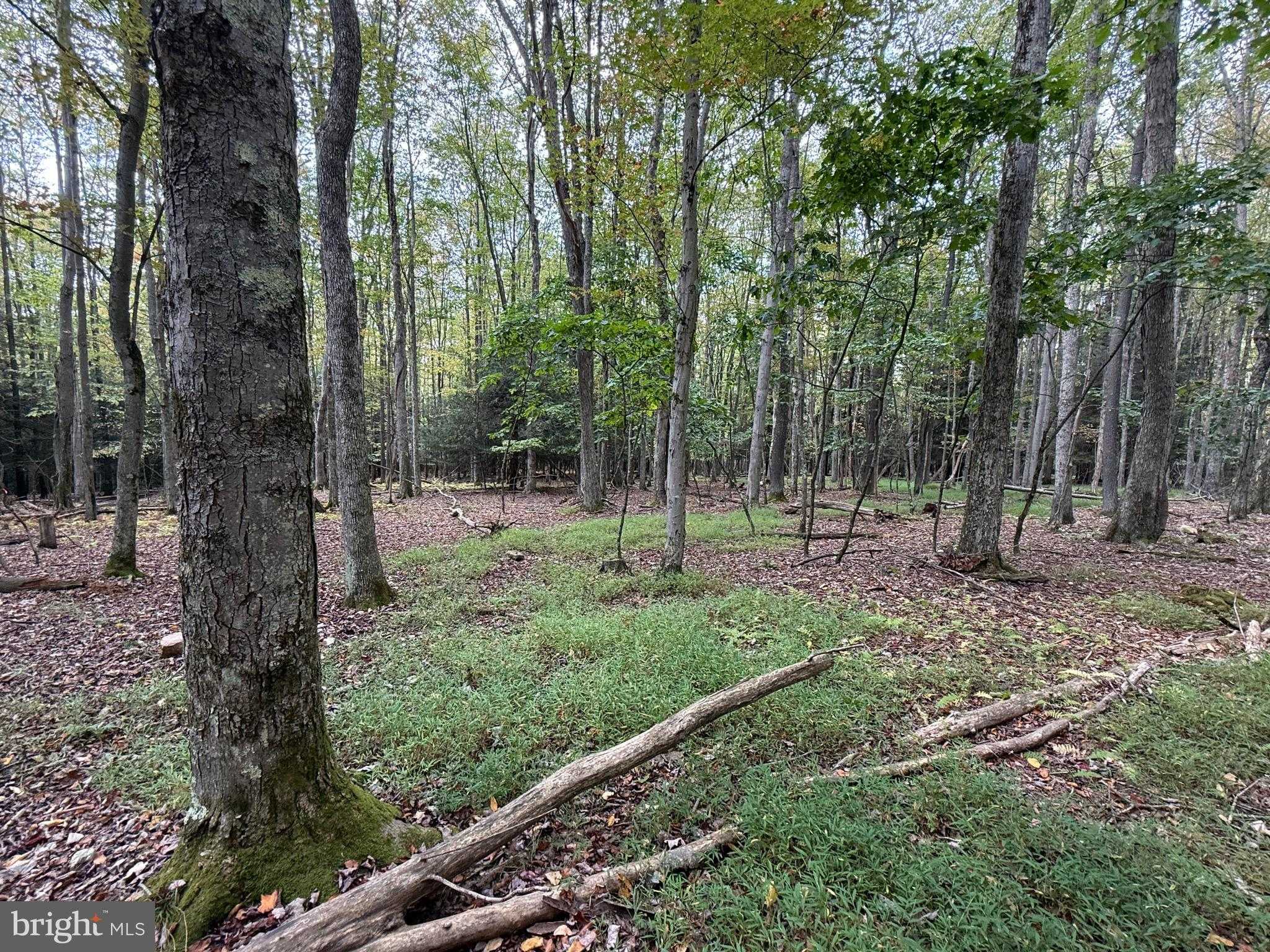 Lake Shore Dr photo 5