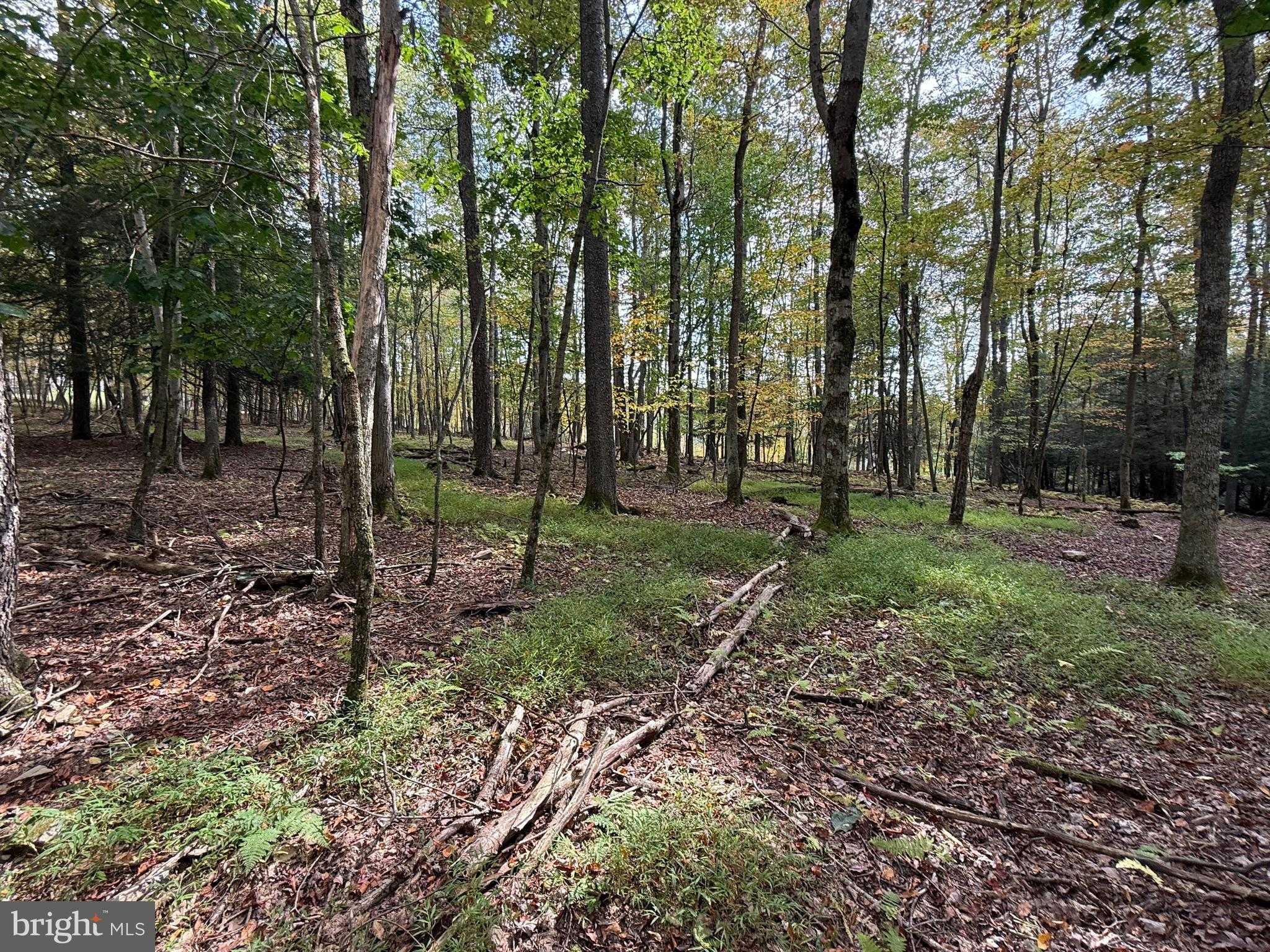 Lake Shore Dr photo 7