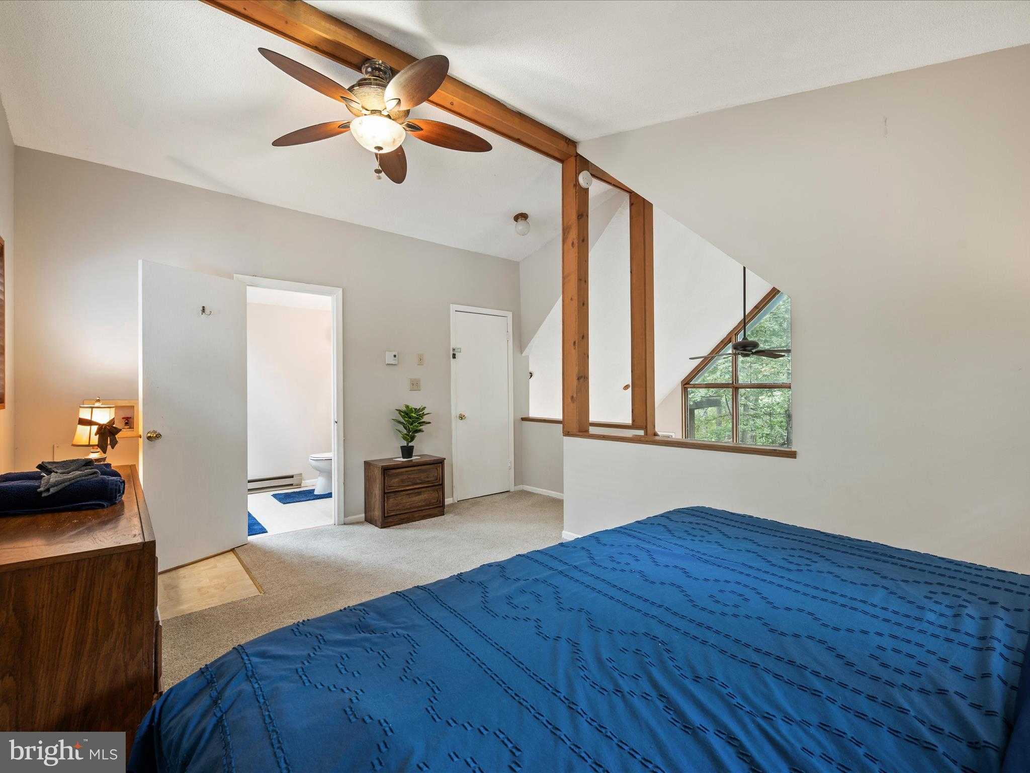 310 Winter Camp Trl photo 27