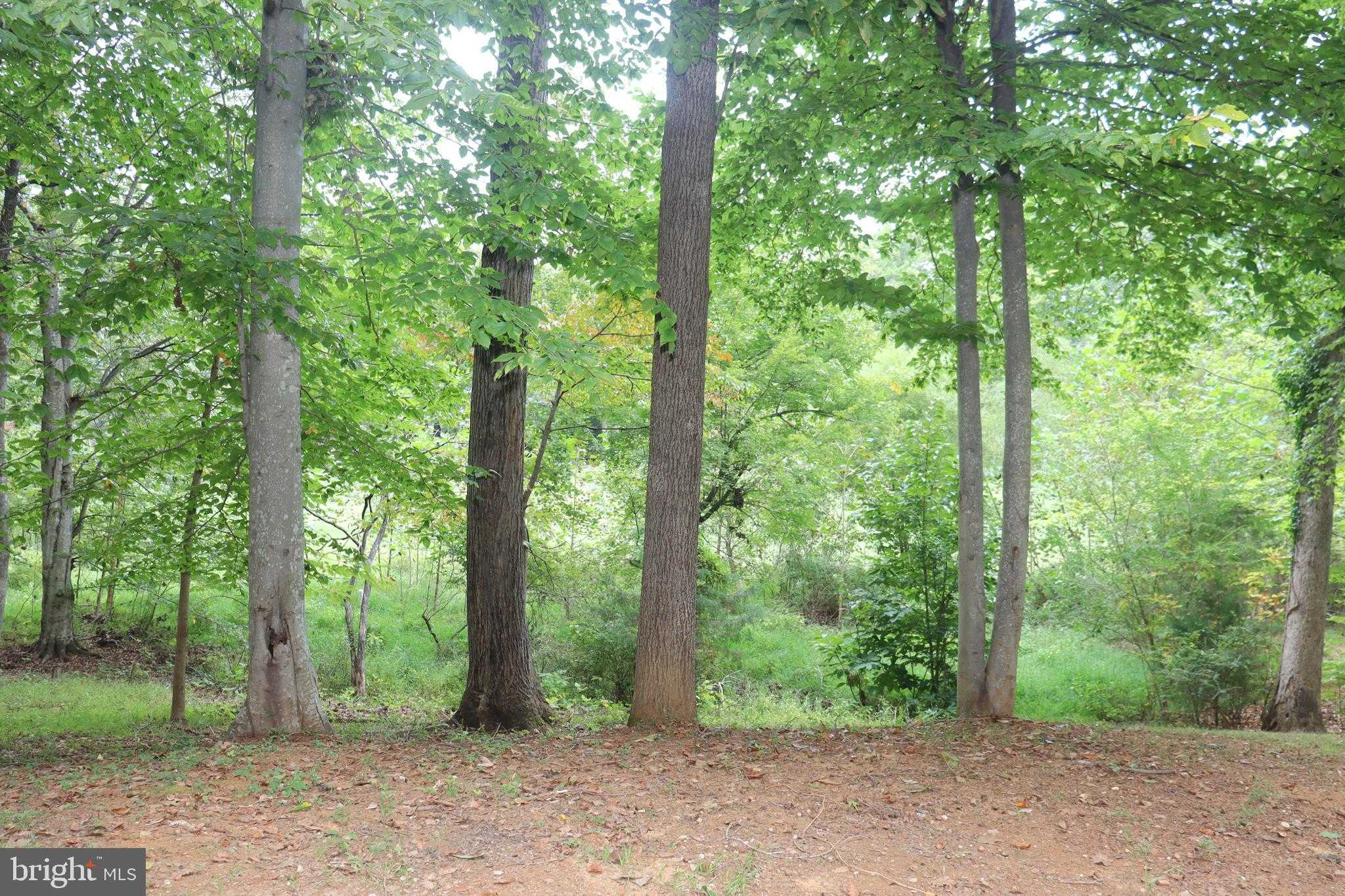 1111 Eastover Pkwy photo 52