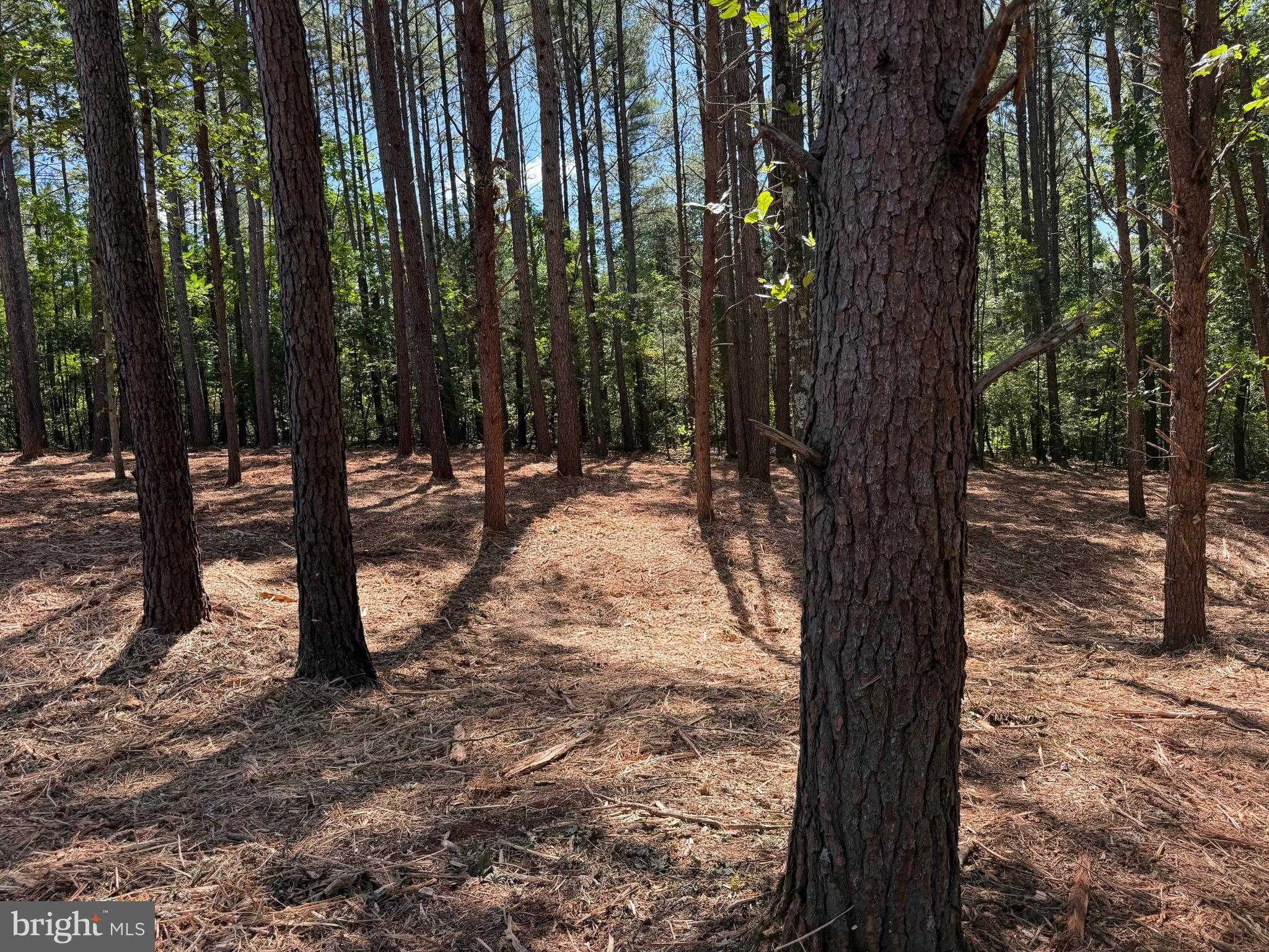 County Rd 722 photo 13