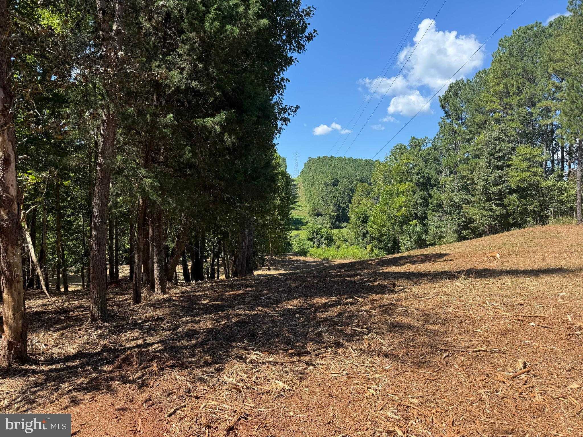 County Rd 722 photo 17