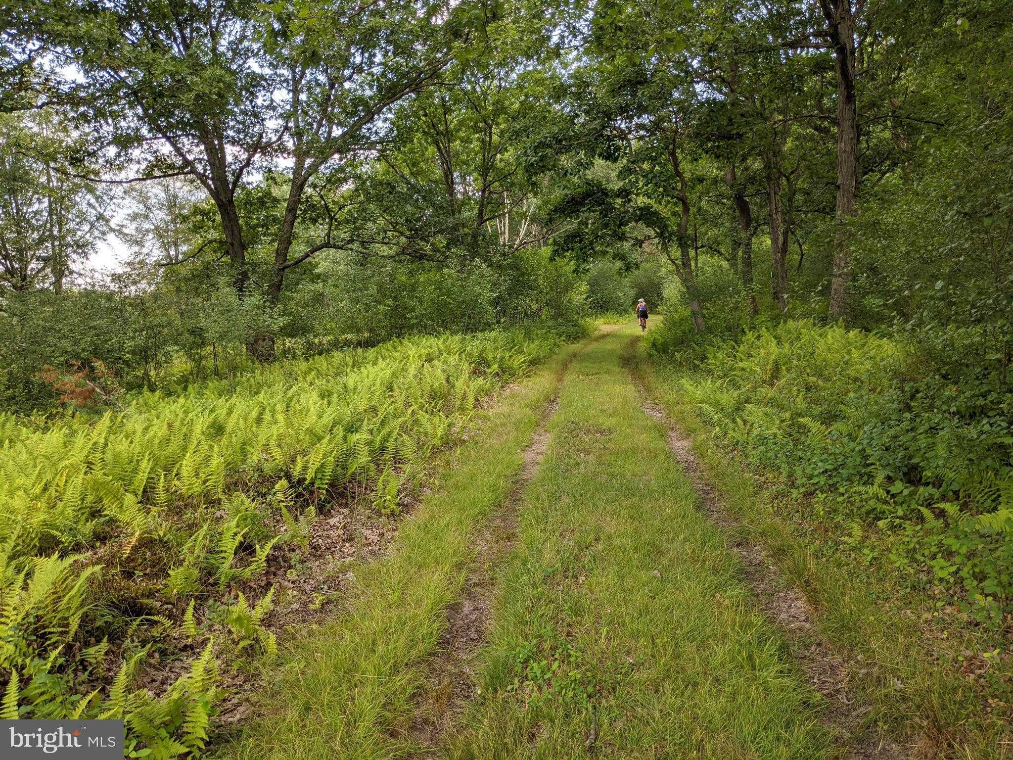 614 Graystones Jeras Rd photo 8