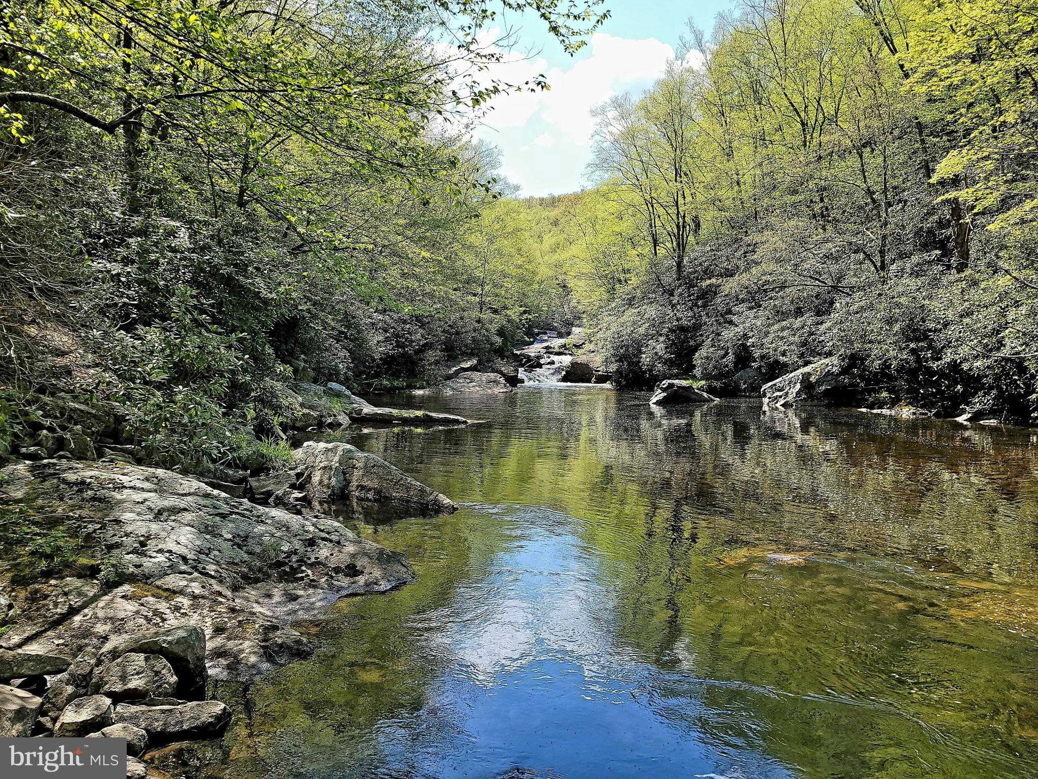 614 Graystones Jeras Rd photo 9