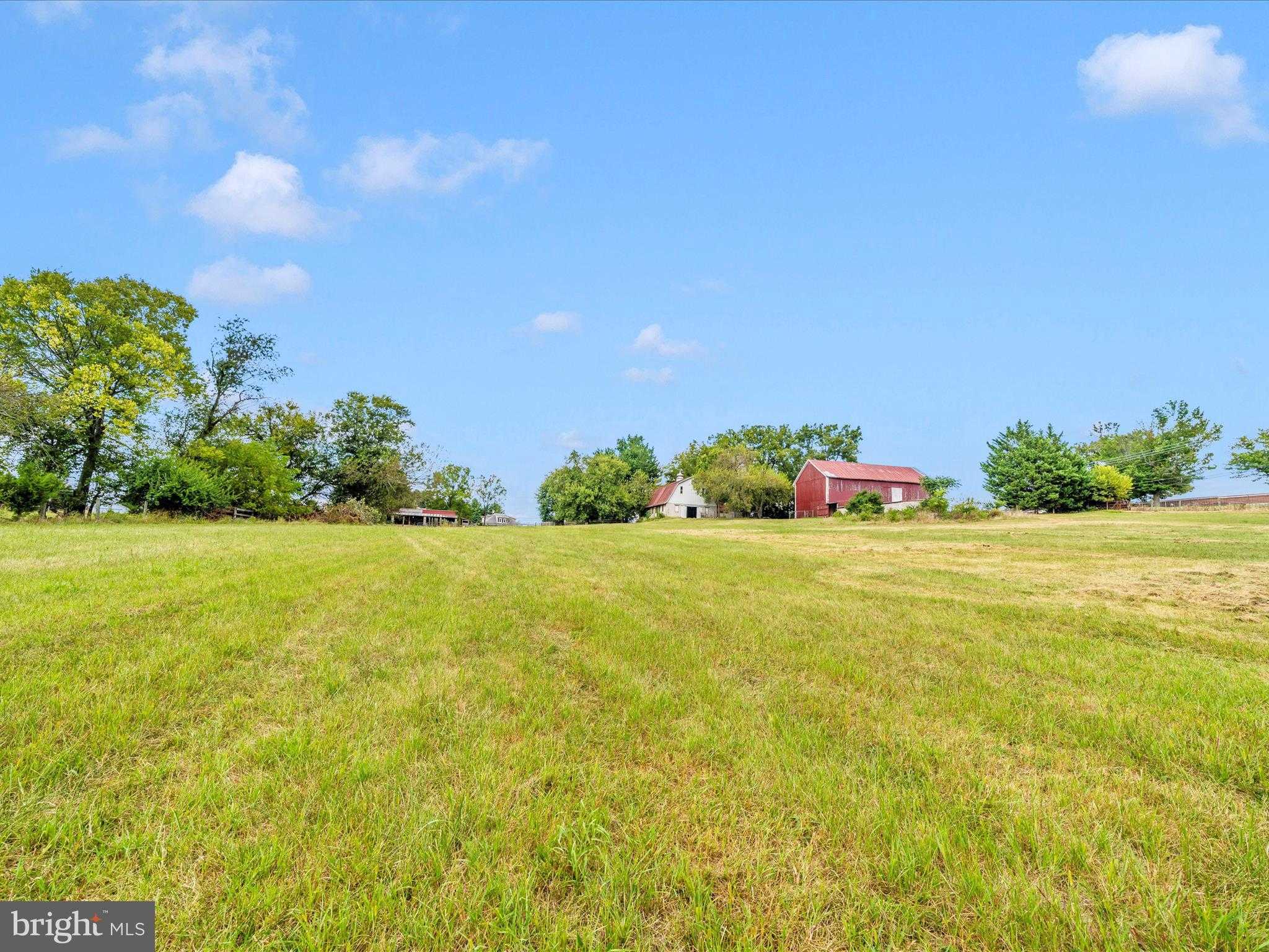 3419 Jefferson Pike photo 77