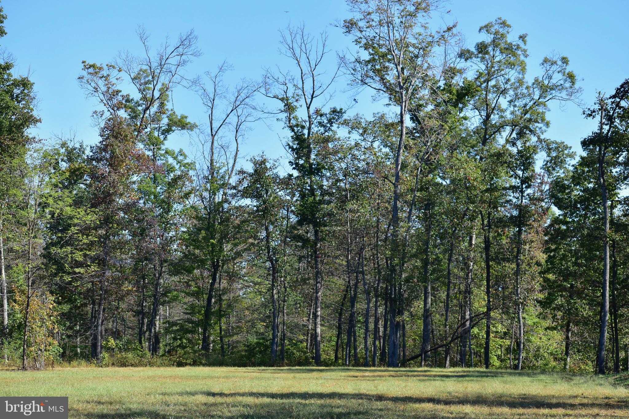 Laurel Grove Rd photo 11