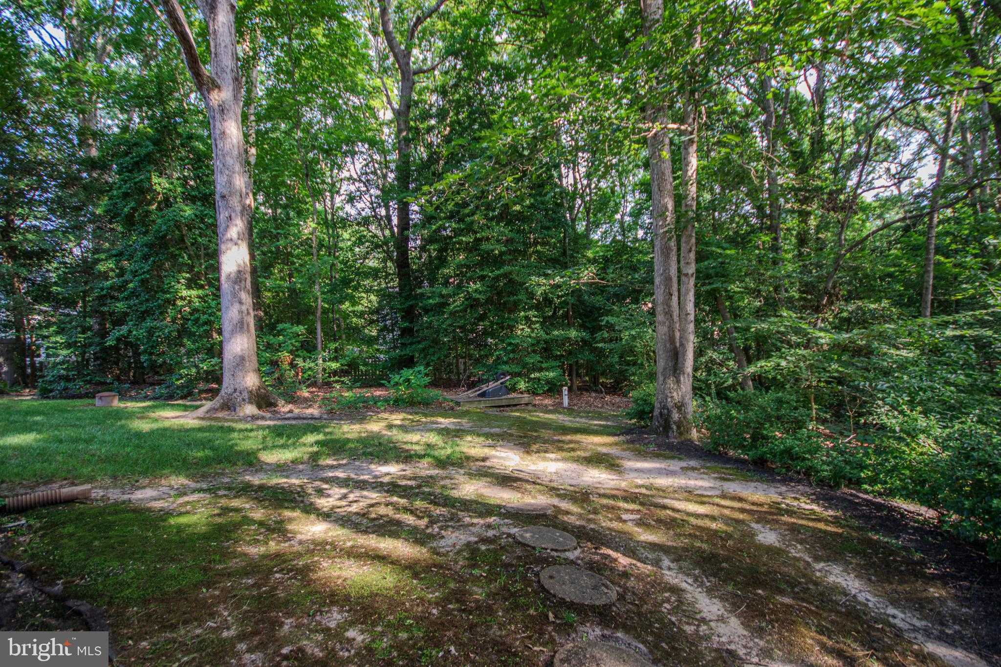 5461 Loch Ness Ter photo 54