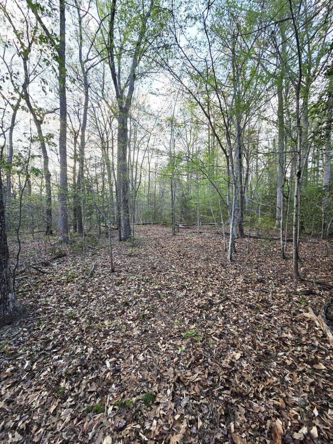 2577 Rutland Rd photo 9