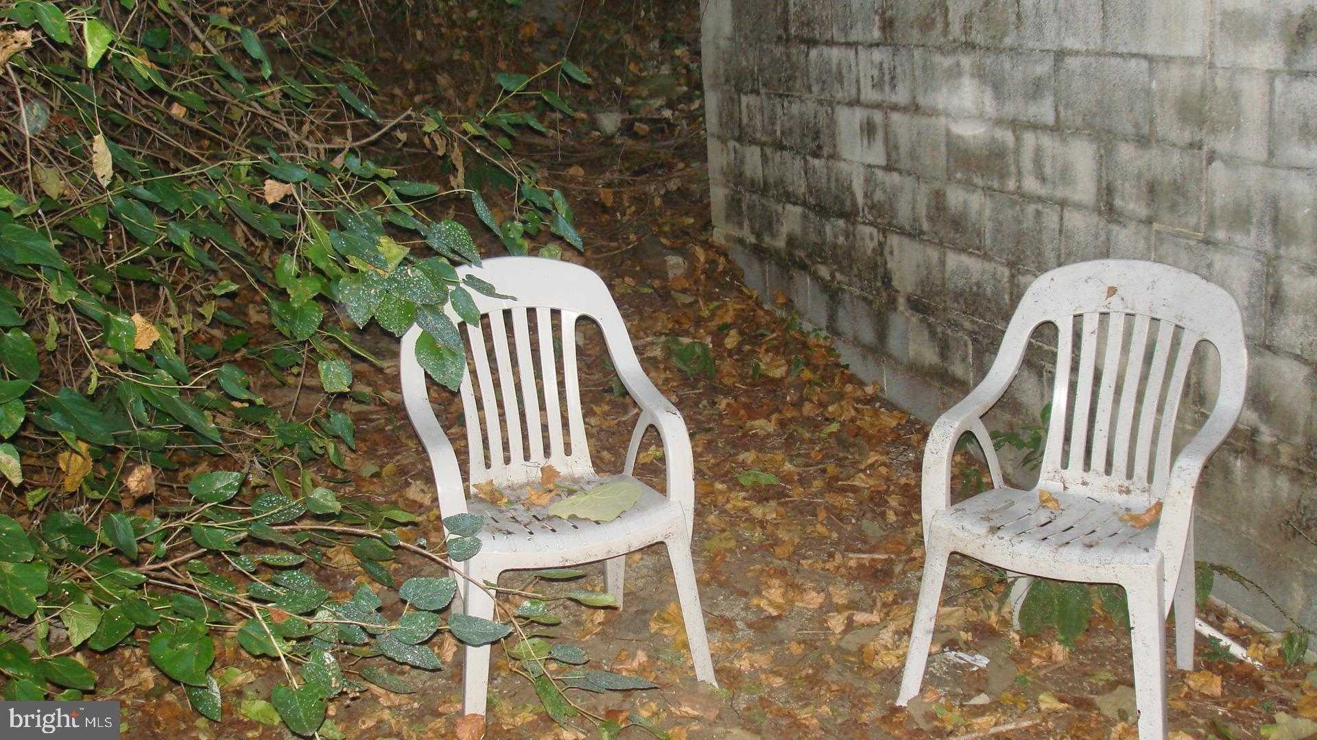 195 Belmont Ave photo 11