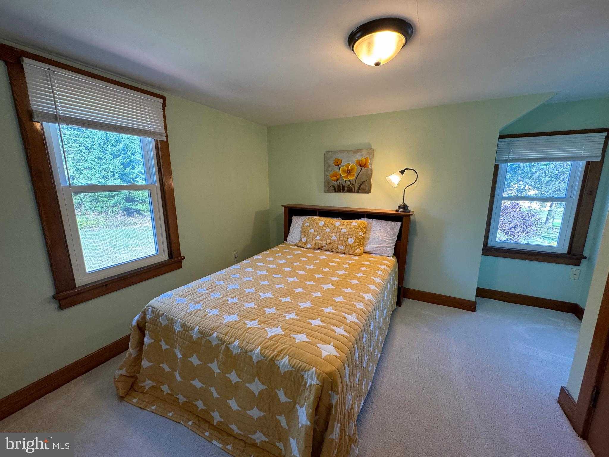 10126 Raystown Rd photo 45