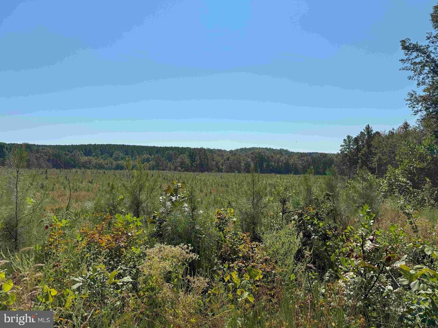 2 Old Columbia Rd photo 5