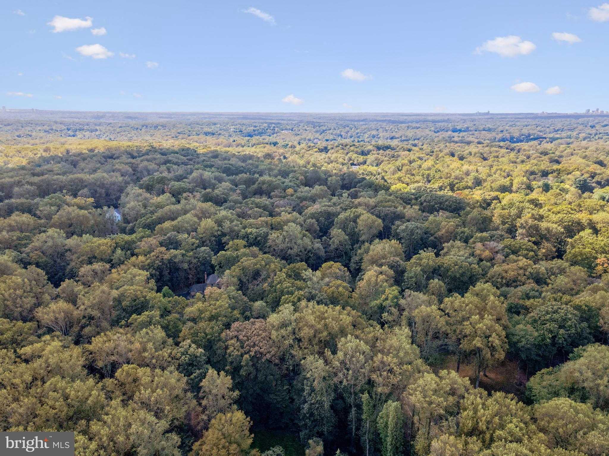 258 Jeffery Ln photo 11