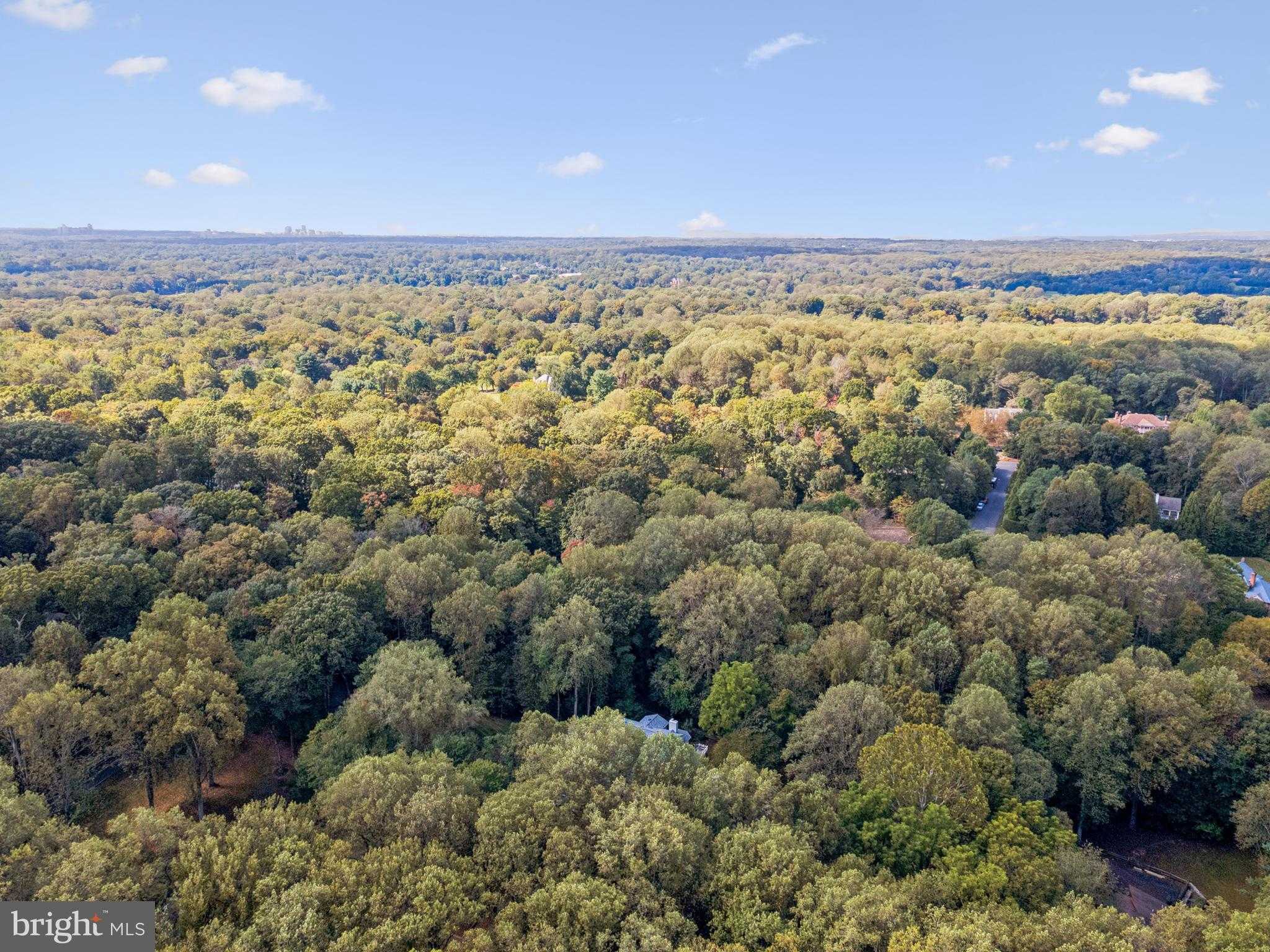 258 Jeffery Ln photo 12