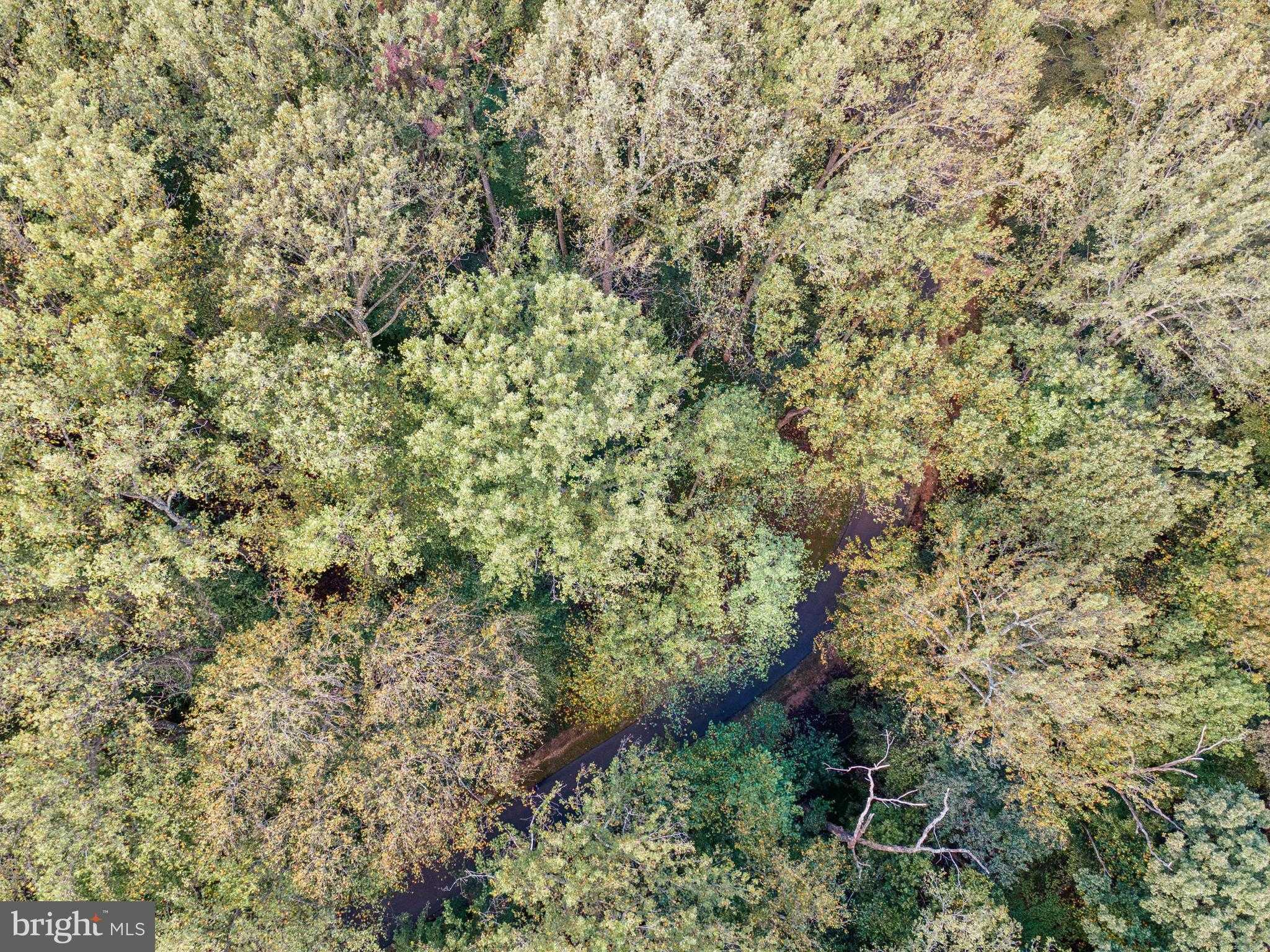 258 Jeffery Ln photo 16