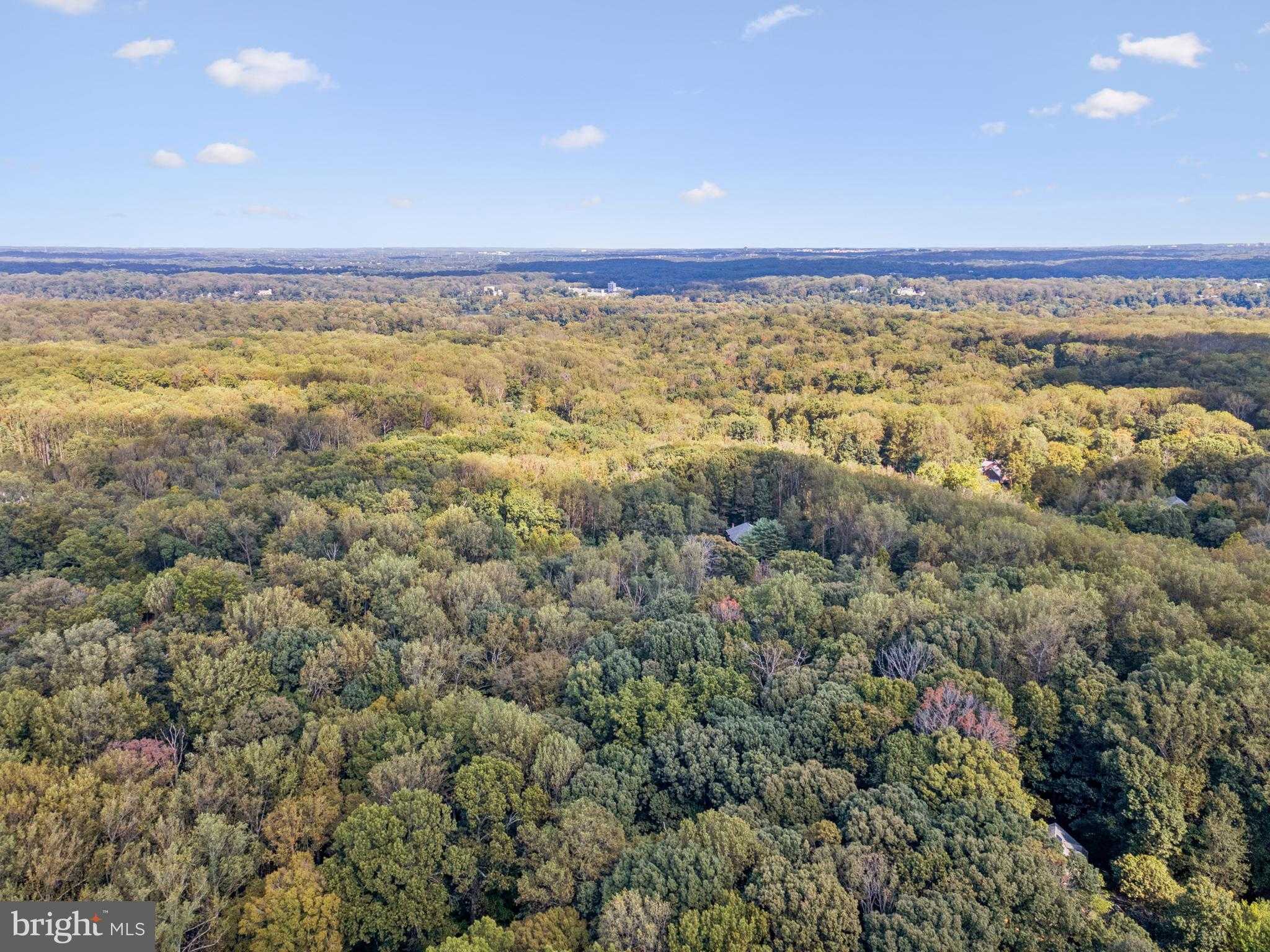 258 Jeffery Ln photo 17