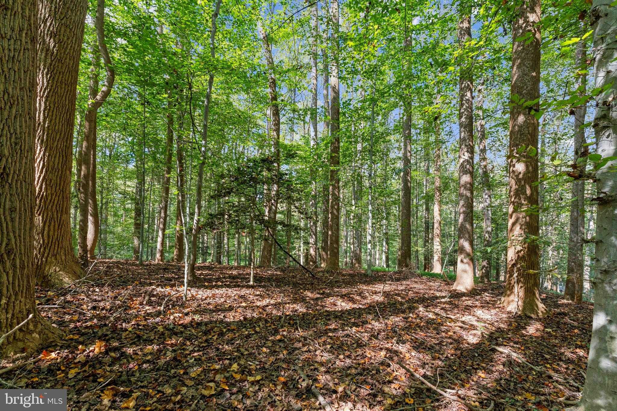 258 Jeffery Ln photo 2