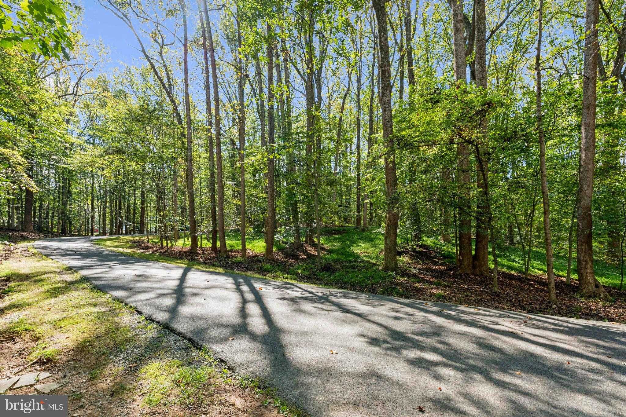 258 Jeffery Ln photo 3