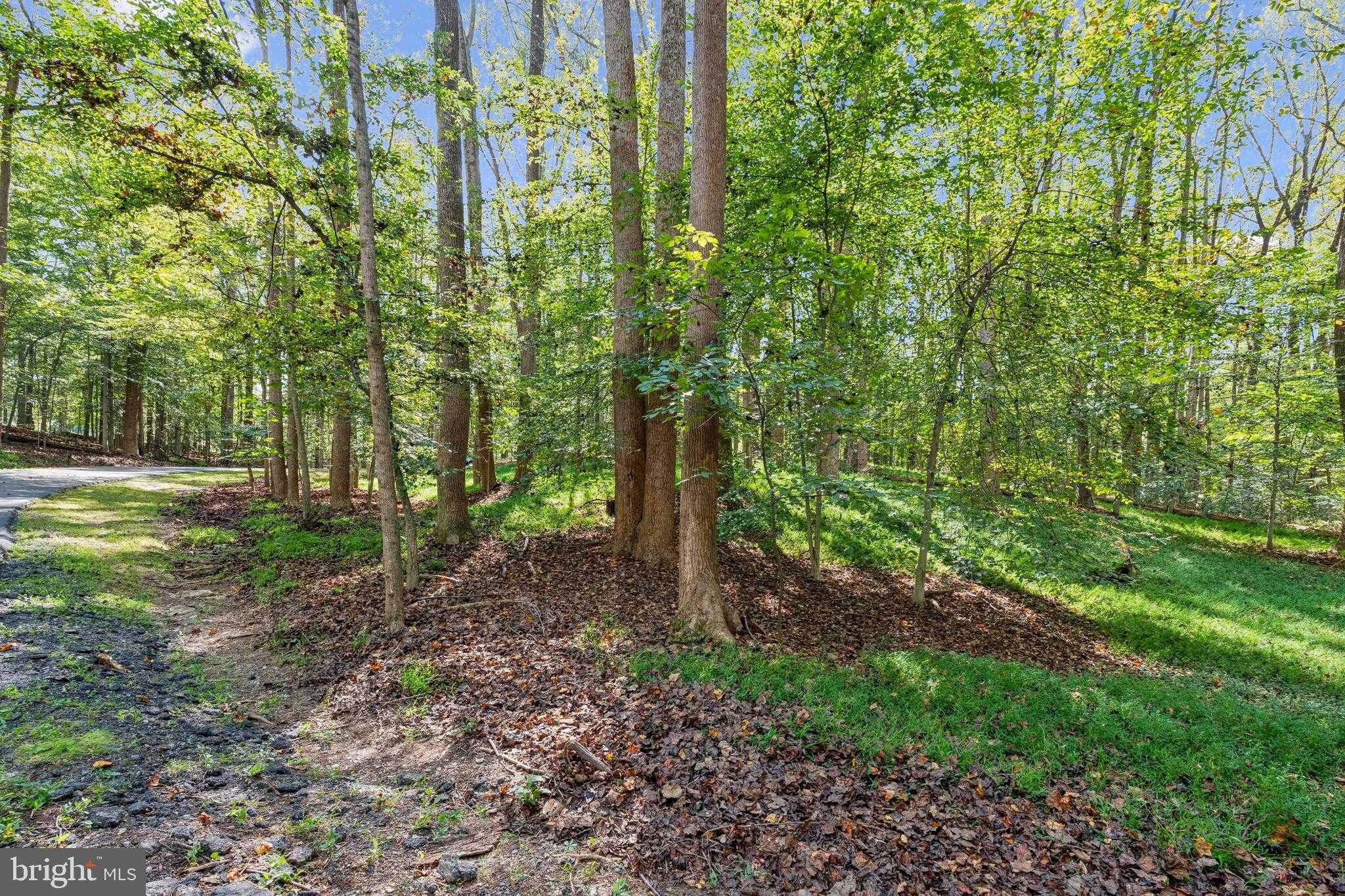 258 Jeffery Ln photo 4