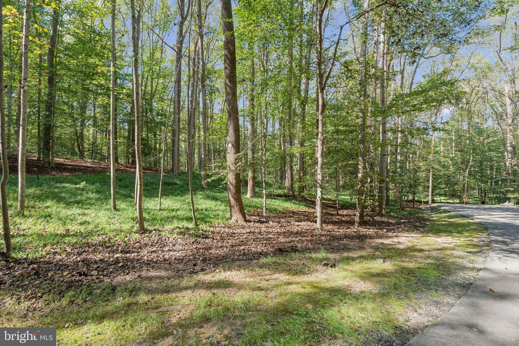 258 Jeffery Ln photo 5