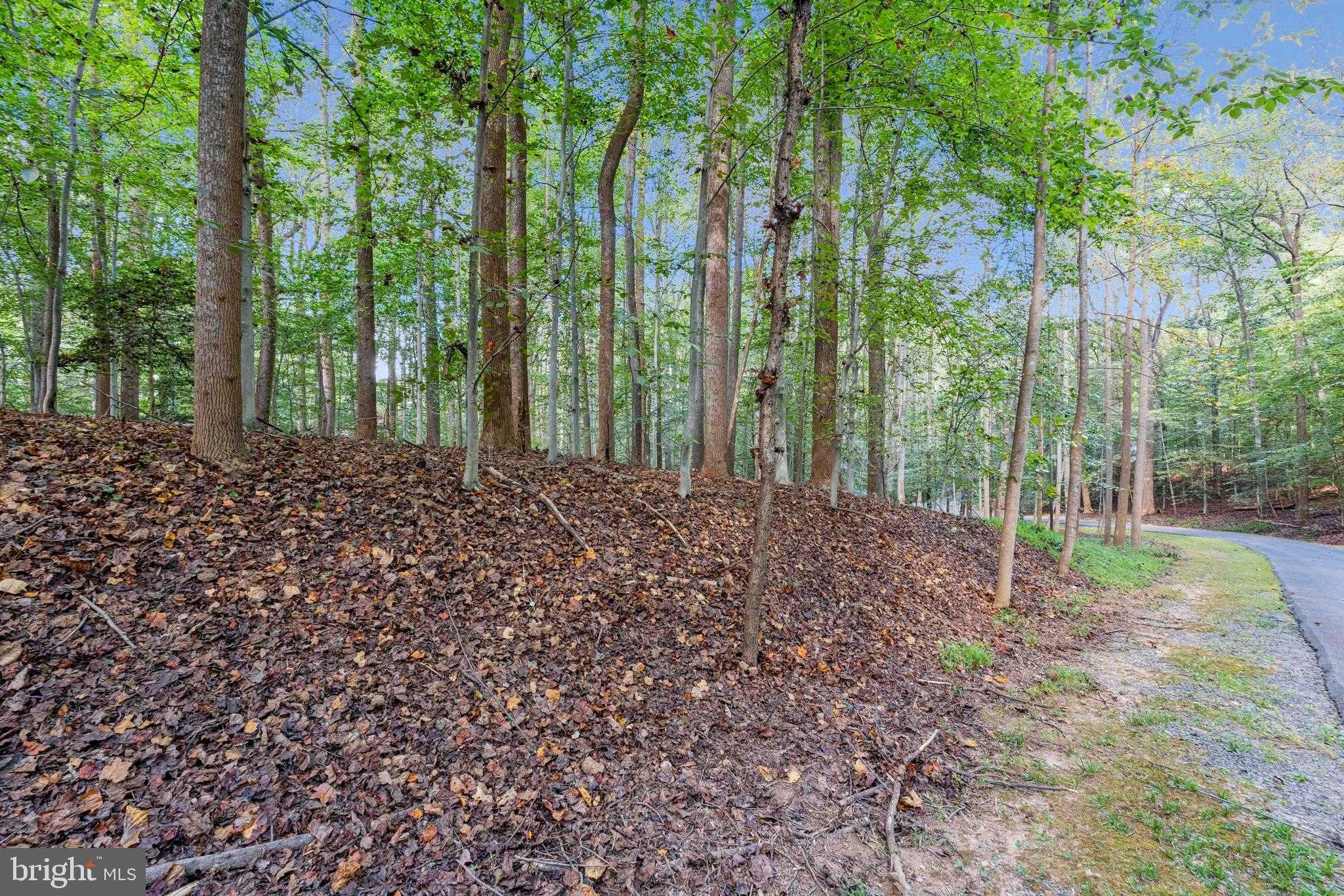 258 Jeffery Ln photo 6