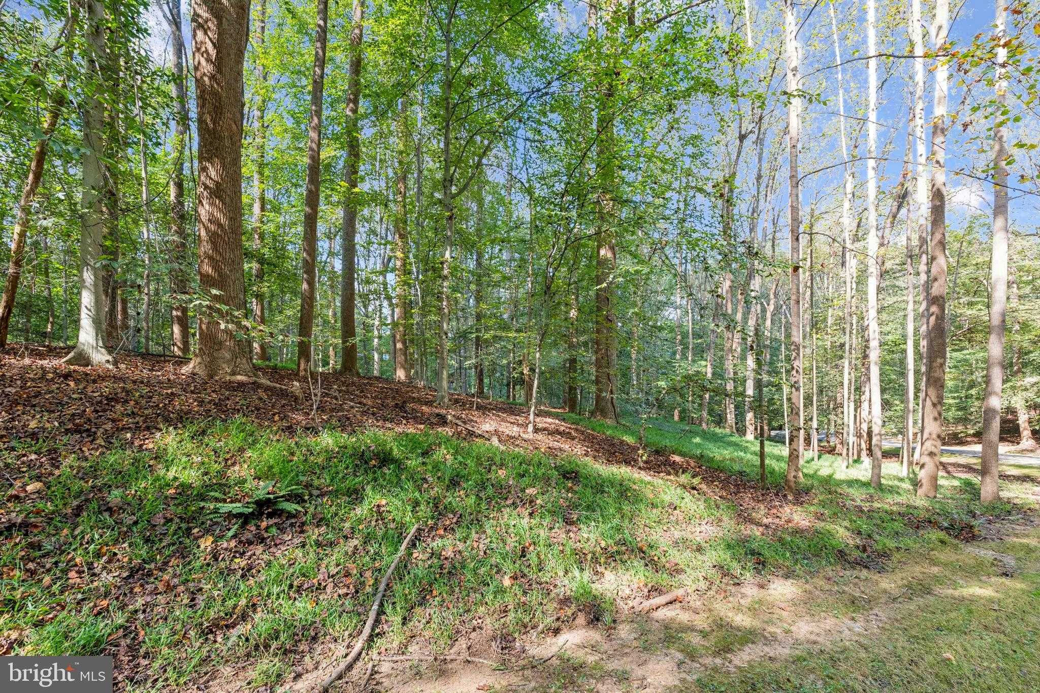 258 Jeffery Ln photo 7