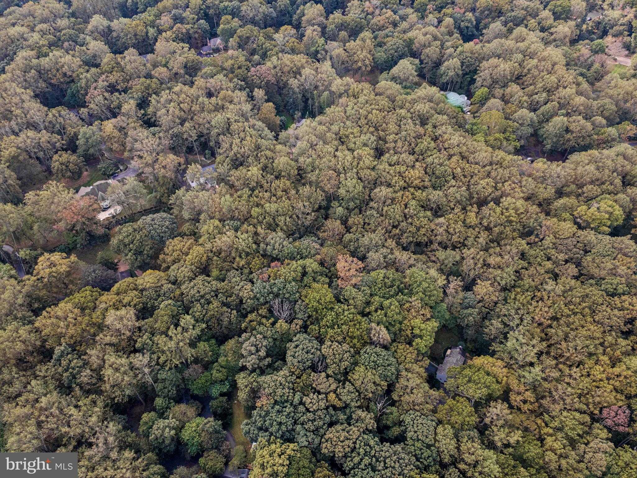 258 Jeffery Ln photo 9