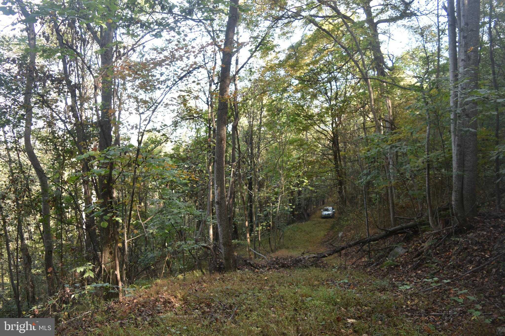 2083 Clay Pits Ln photo 11