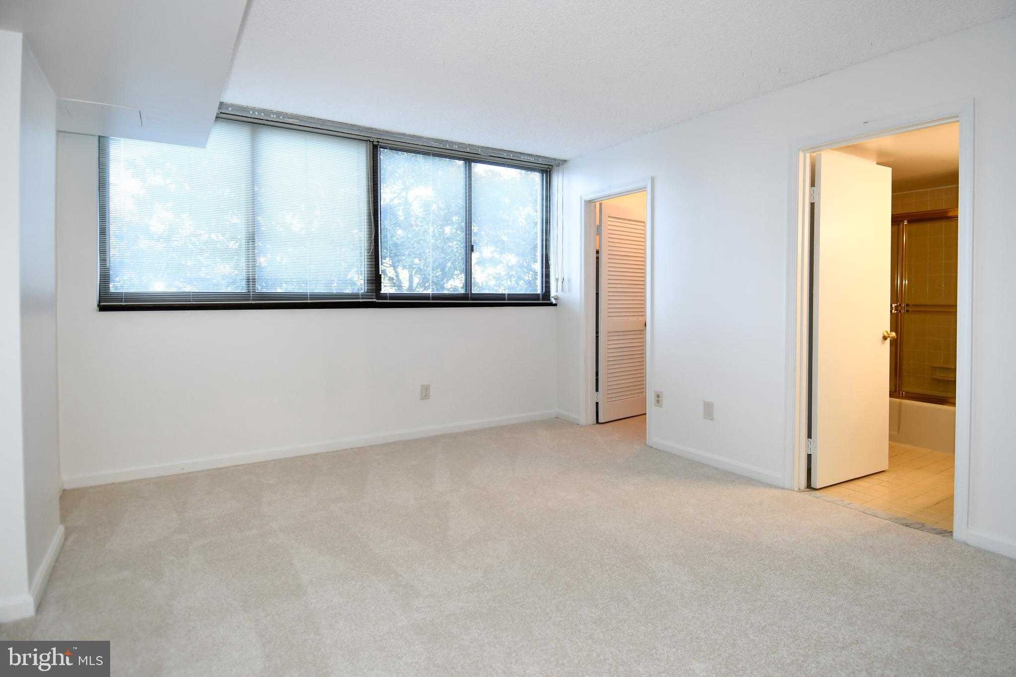 1101 S Arlington Ridge Rd Apt 316 photo 48