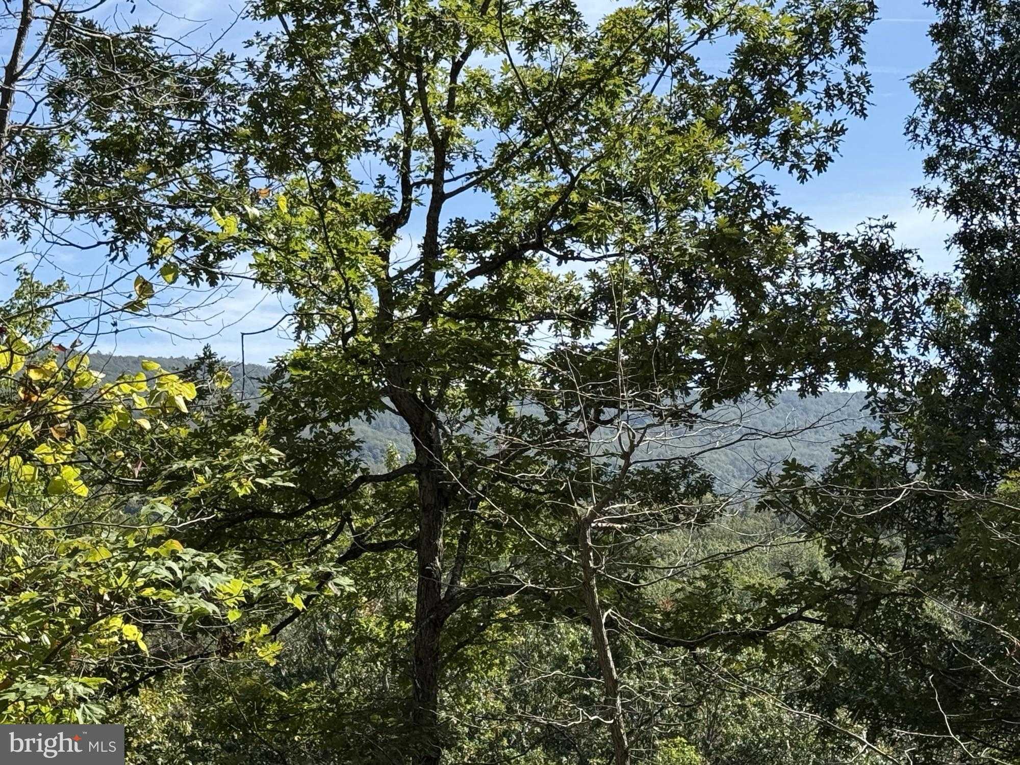 Old Oregon Rd photo 7