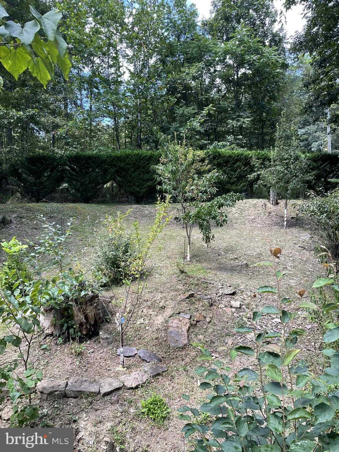 3837 Graces Cabin Rd photo 69