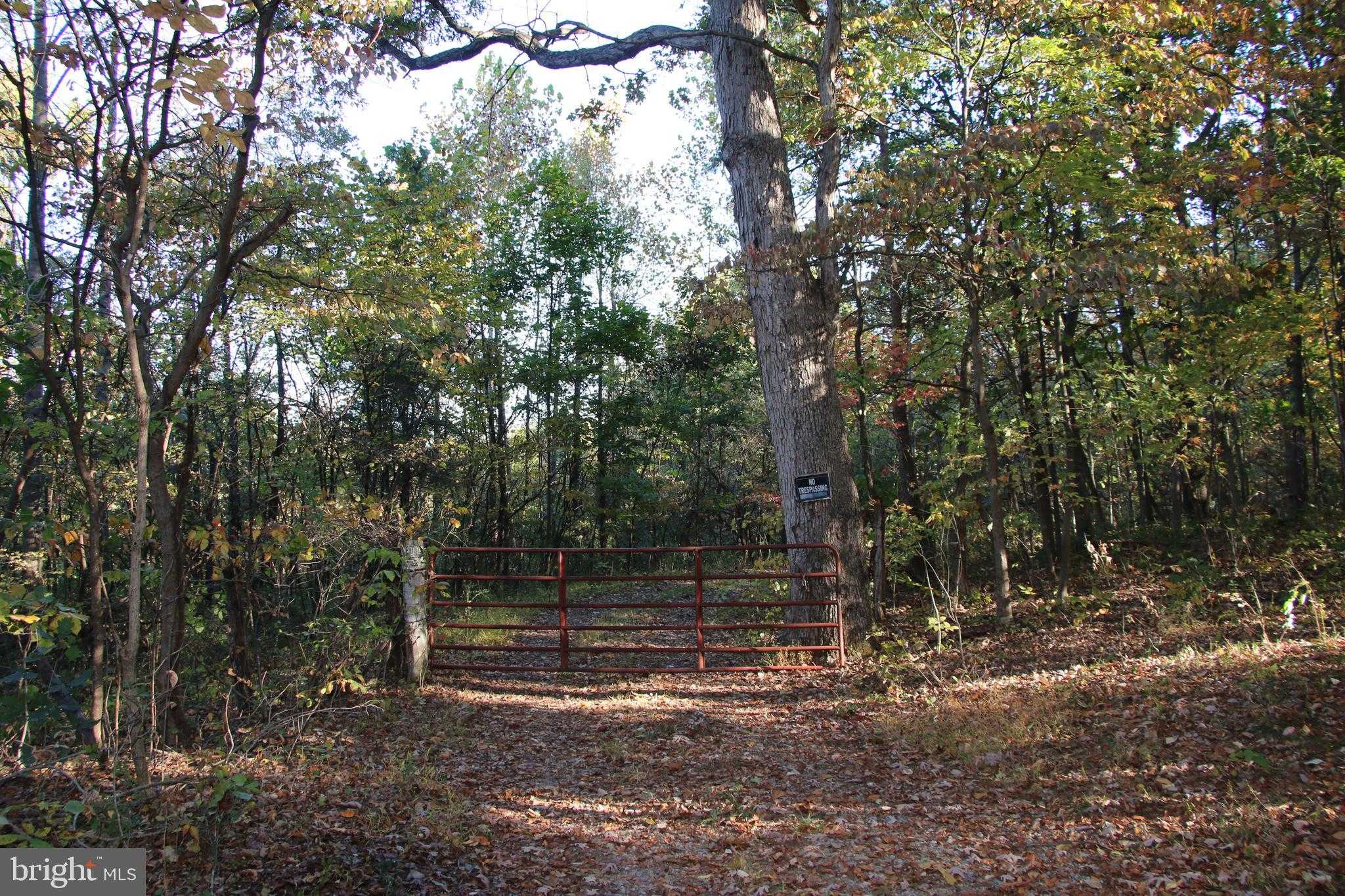 598 Tuckahoe Ln photo 3