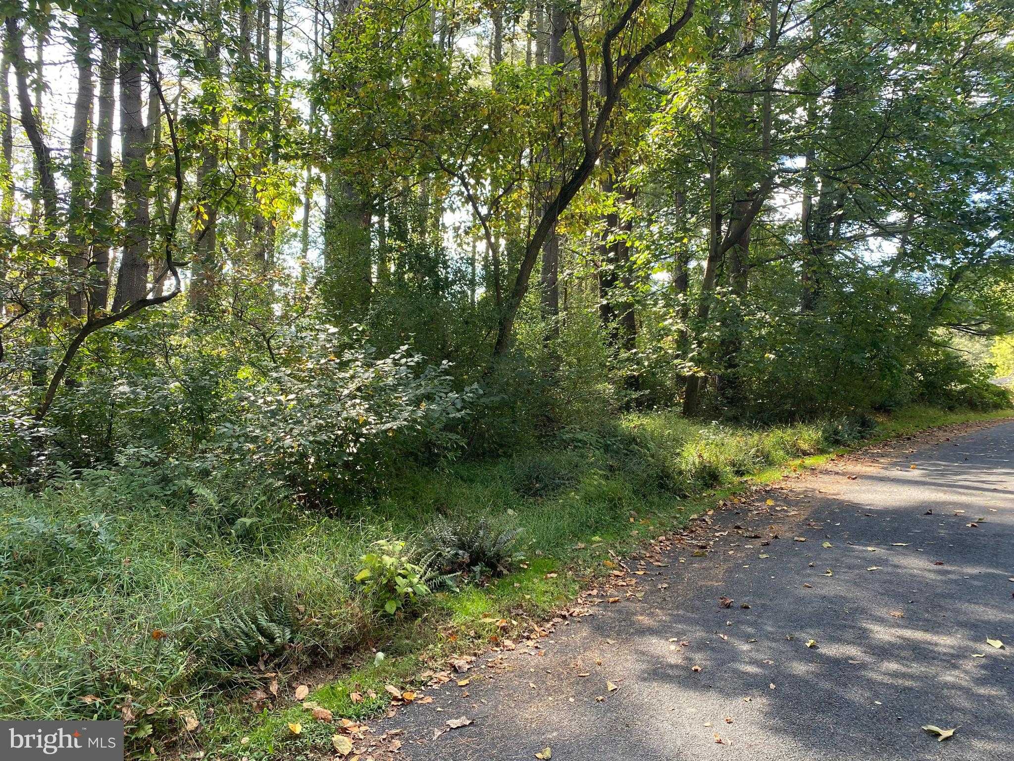 16 Londonderry Ct photo 3