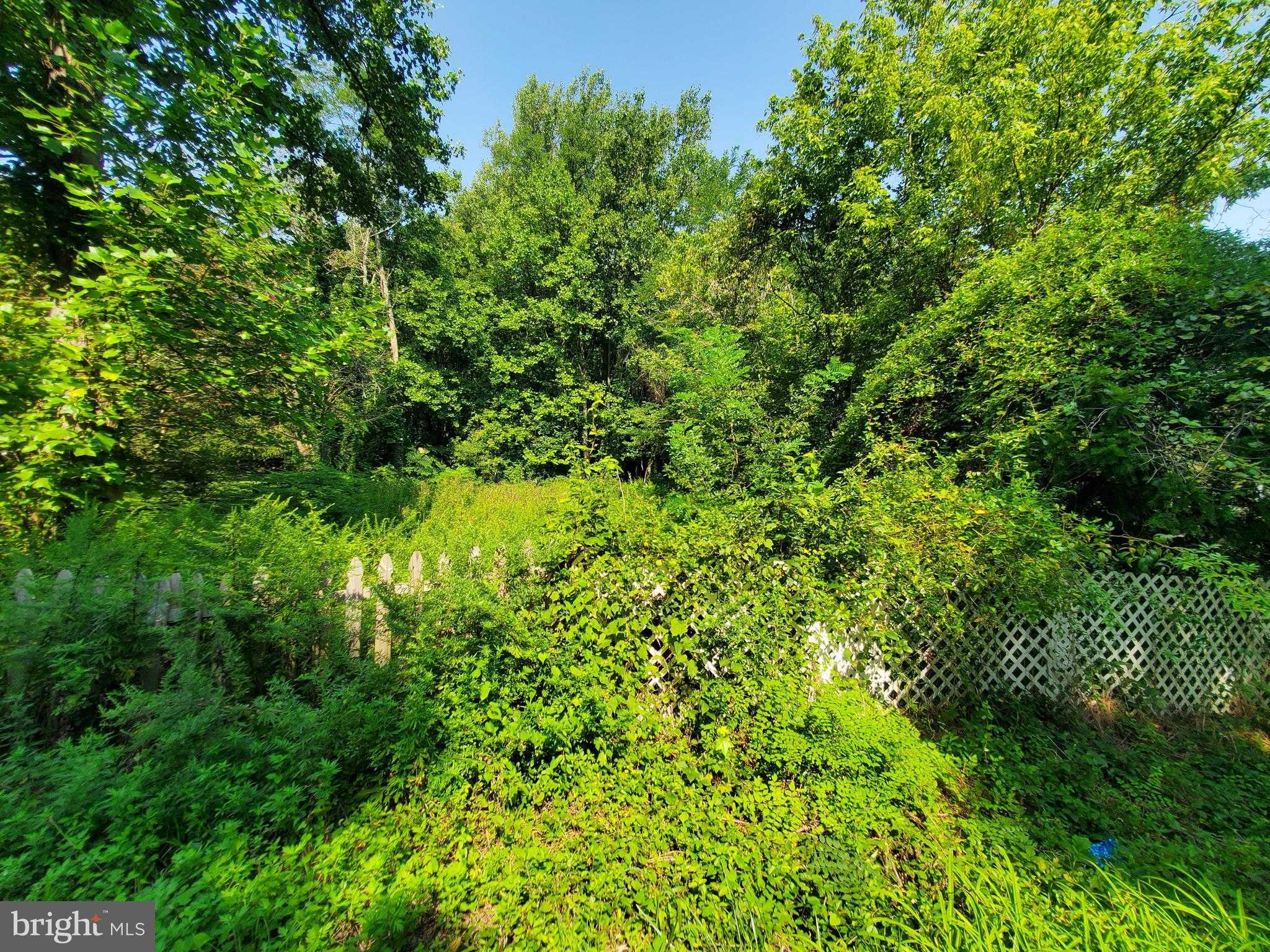 918 Carsins Run Rd photo 3