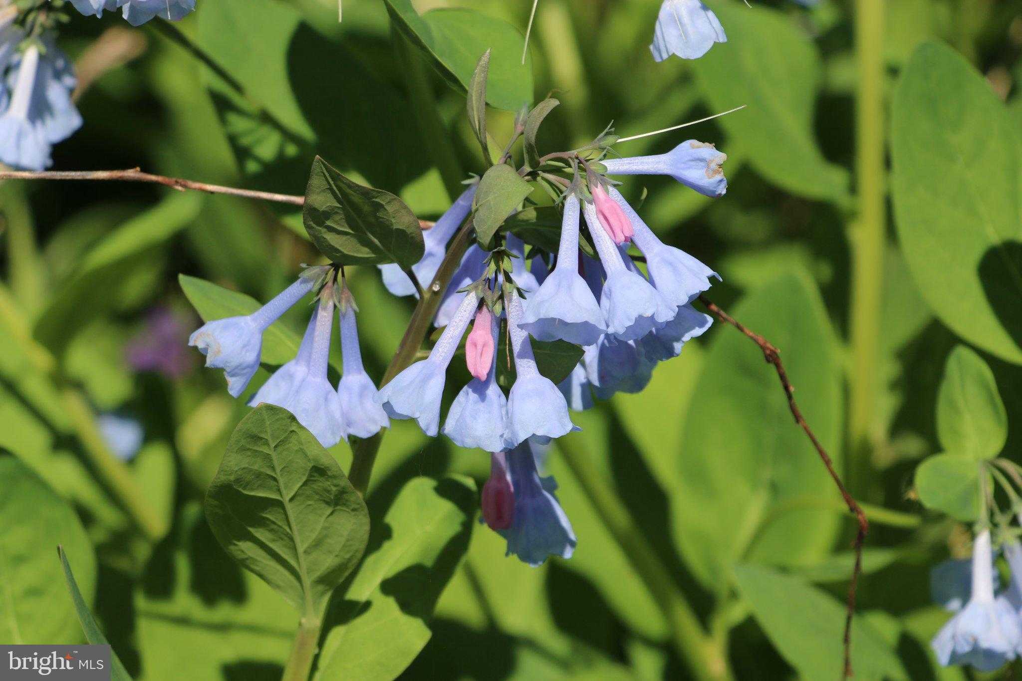 2983 Old Winchester Rd photo 30