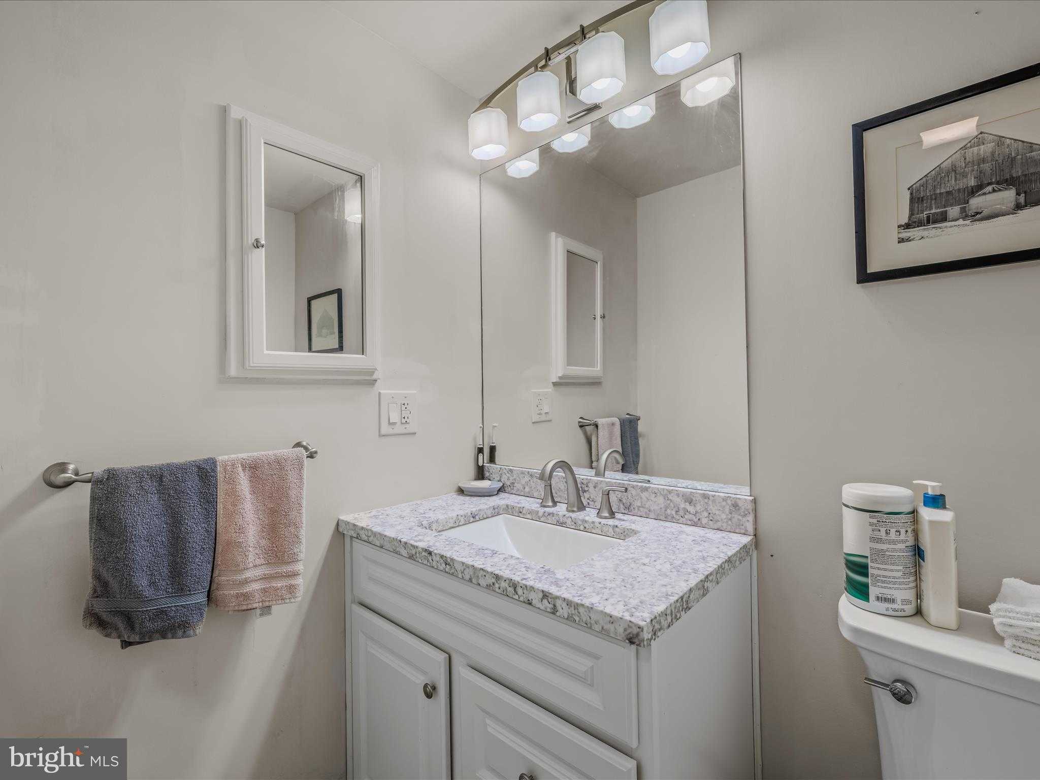 269 Mountain Laurel Dr photo 21