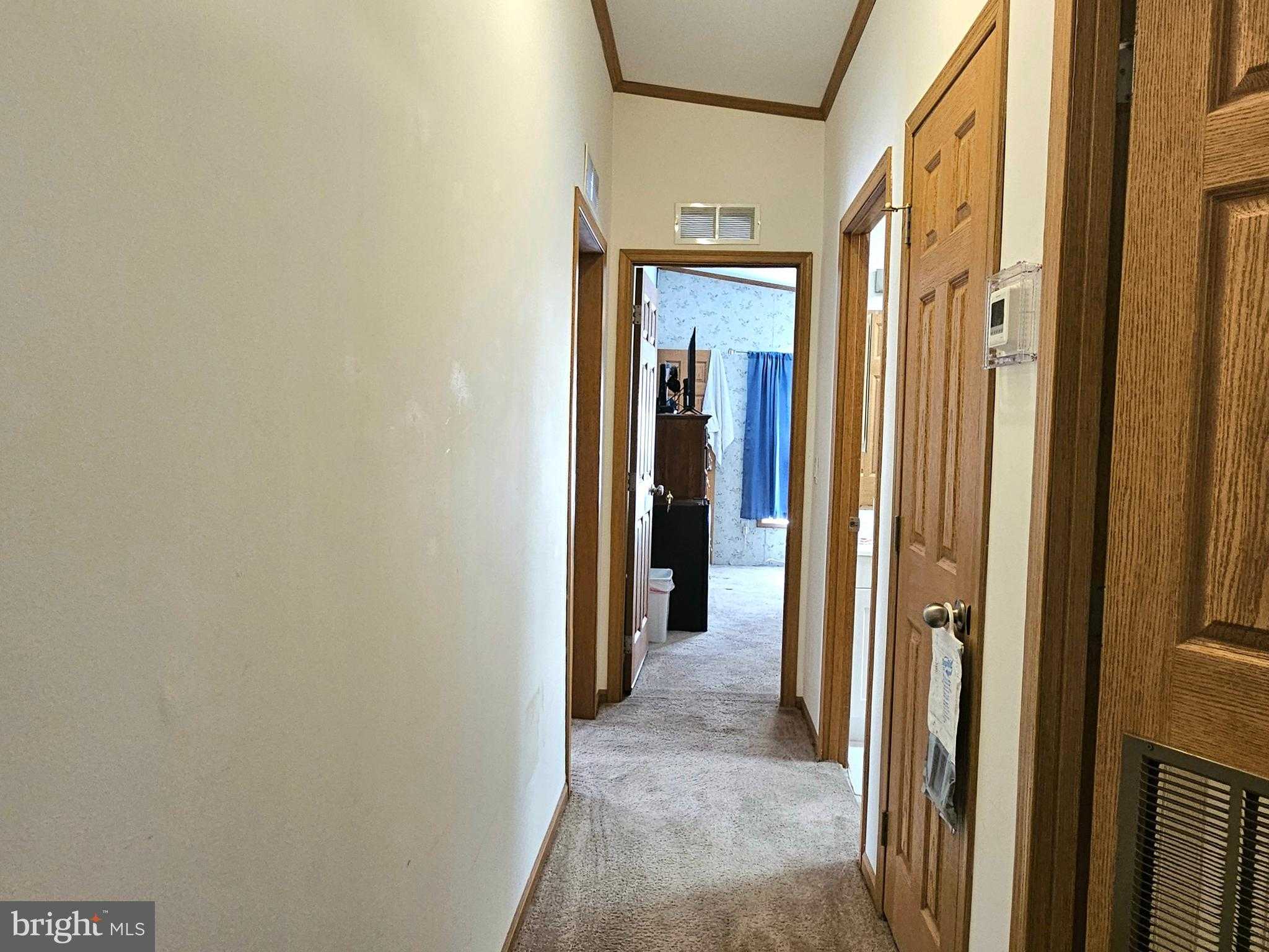 26812 Cross Bill Ct photo 23