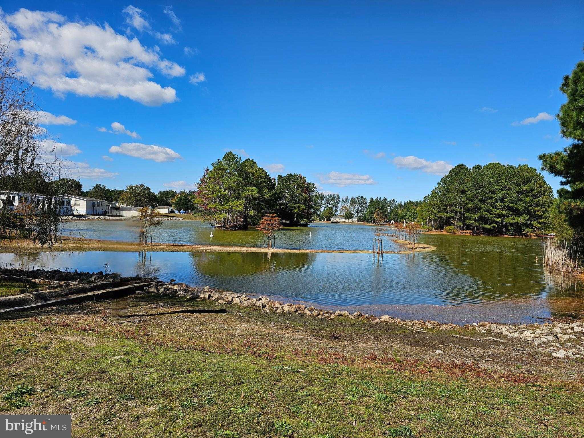 26812 Cross Bill Ct photo 43