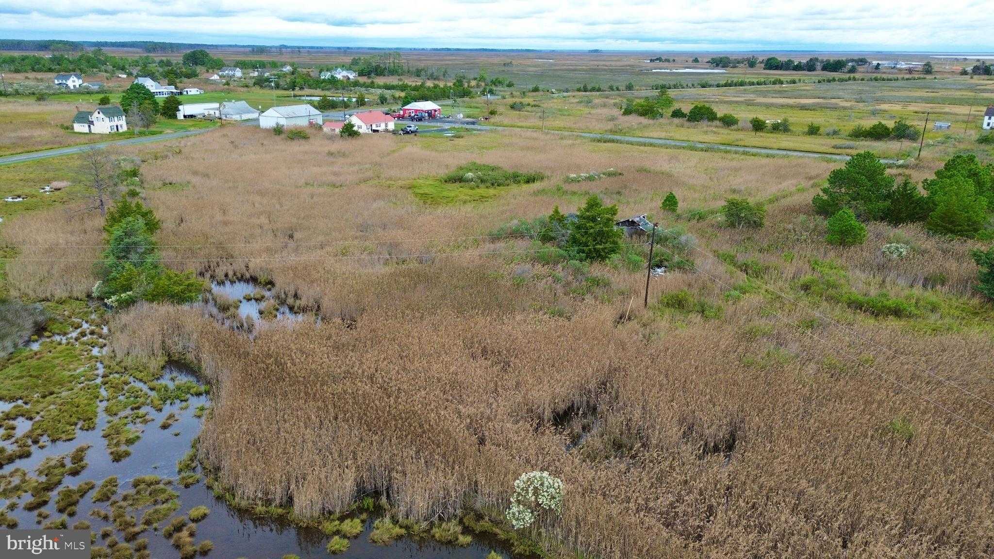 2707 Toddville Rd photo 14