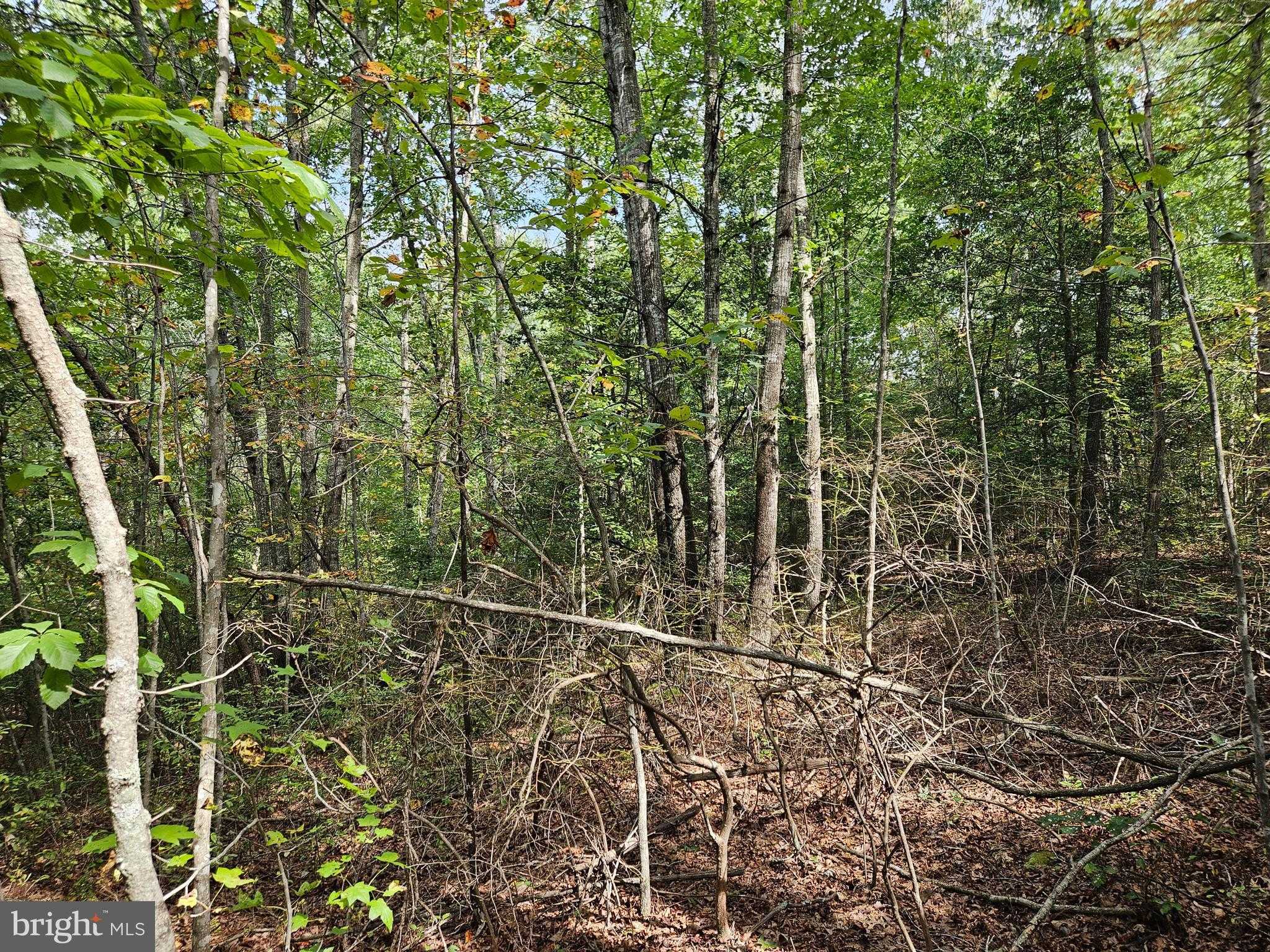 Long Branch Rd photo 19