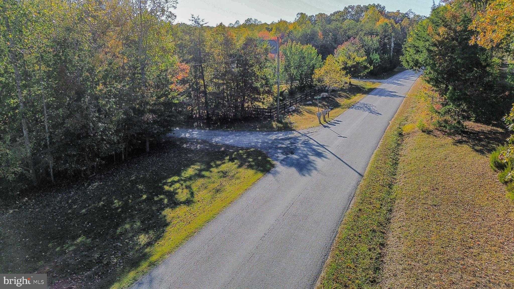 Beech Tree Dr photo 5