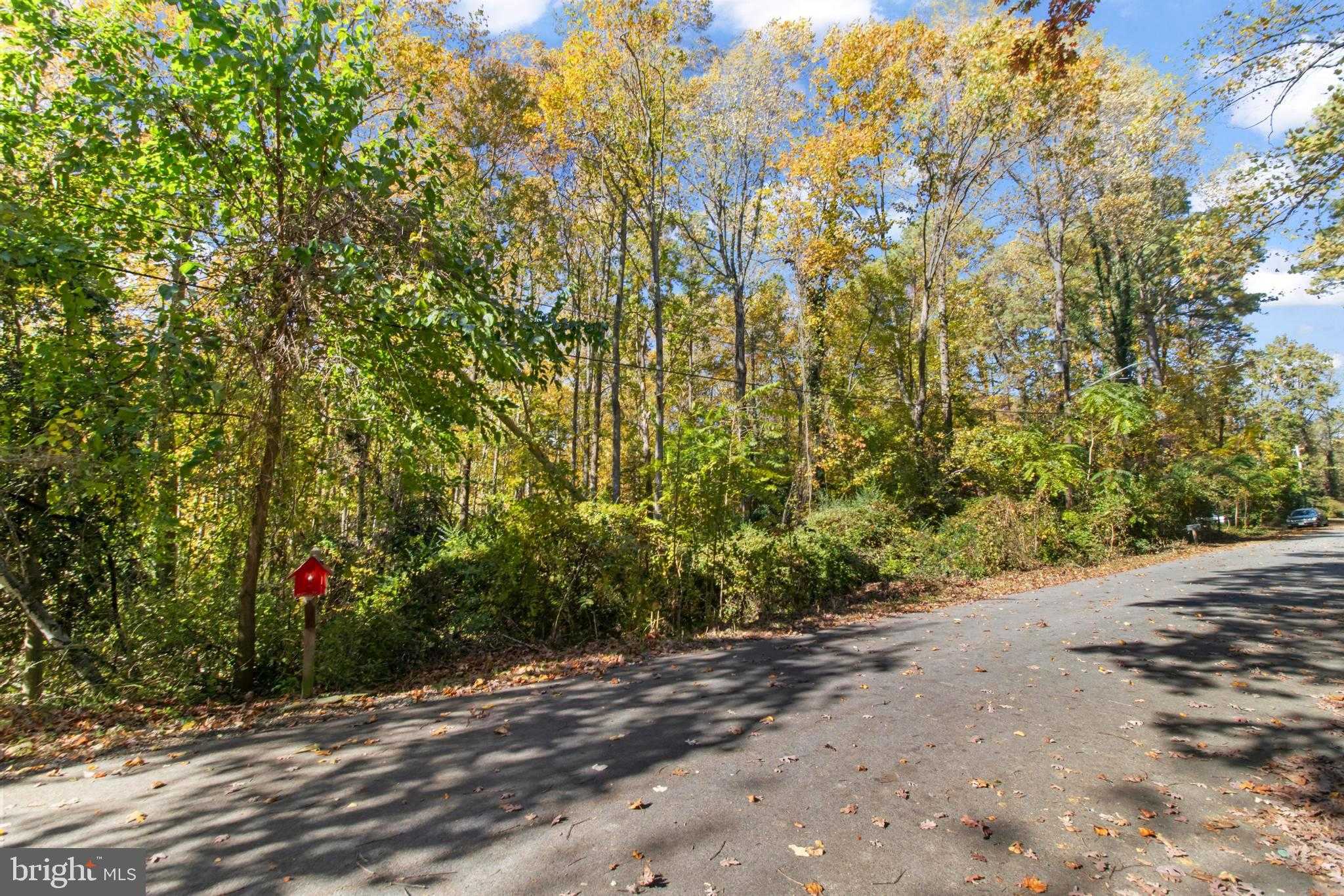 12959 Pine Ln photo 3