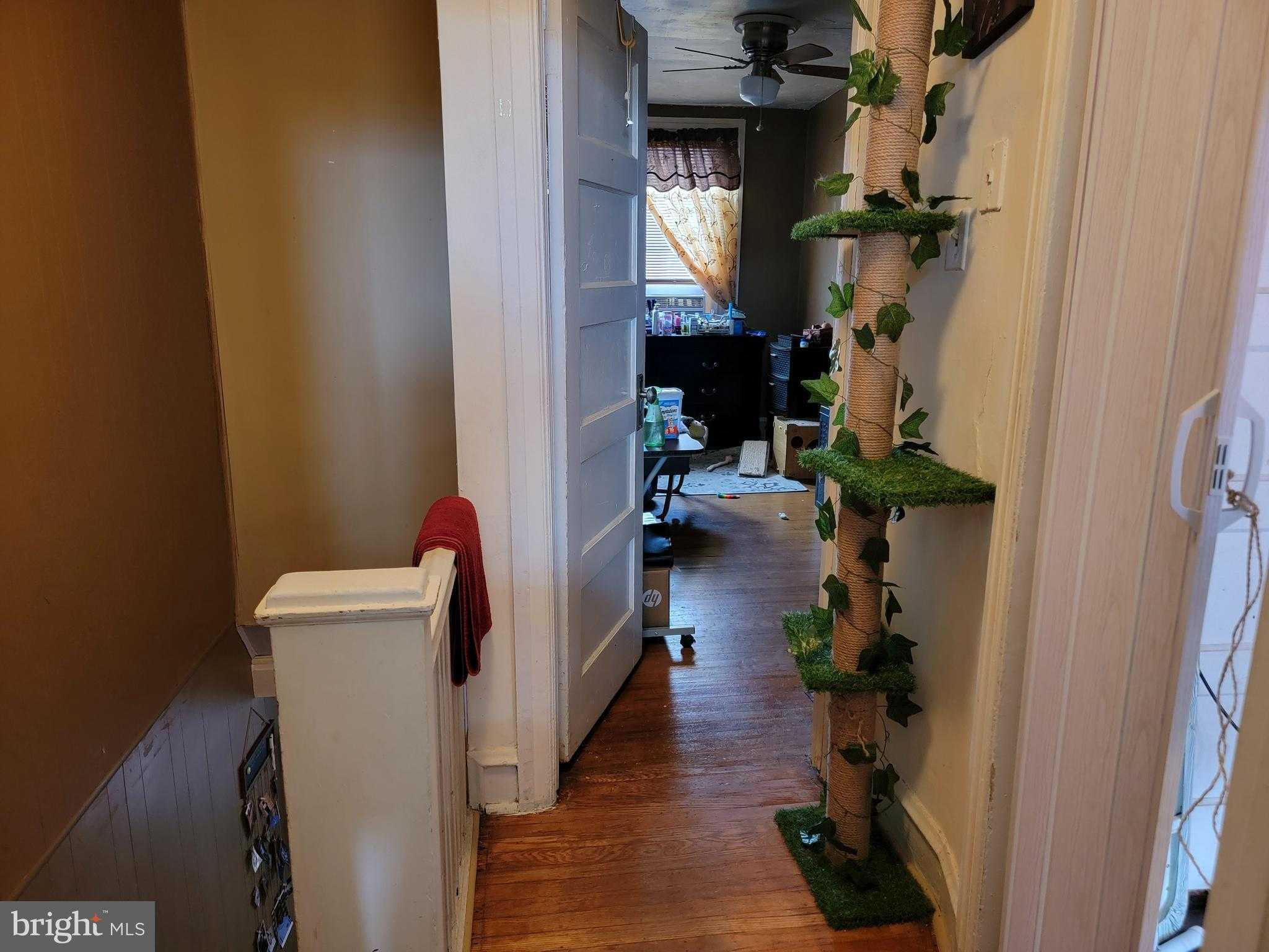 126 Rosemar St photo 12