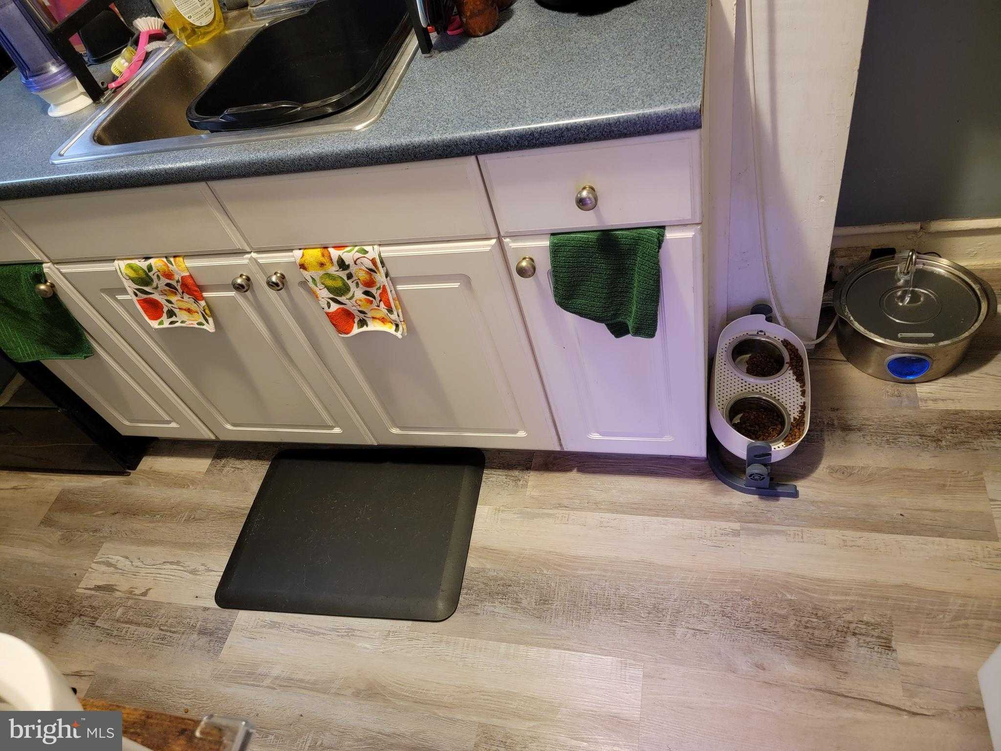 126 Rosemar St photo 6