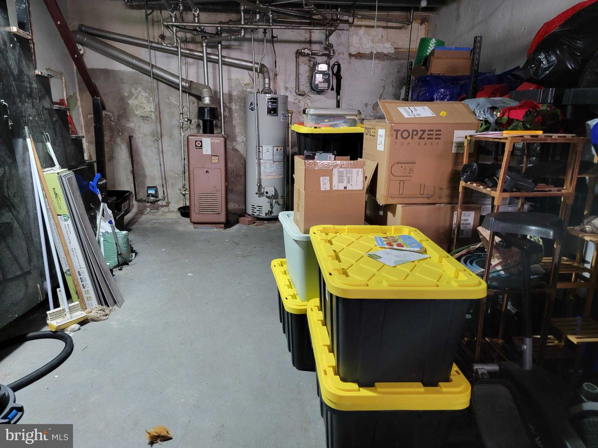 126 Rosemar St photo 9